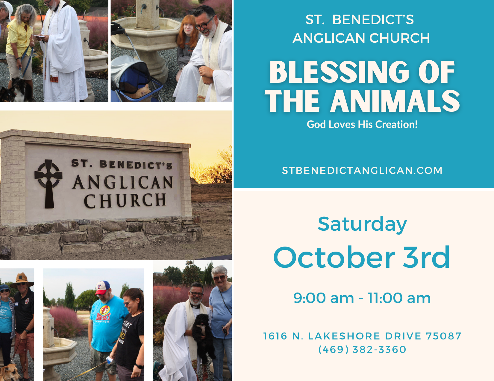 Blessing Animals.png