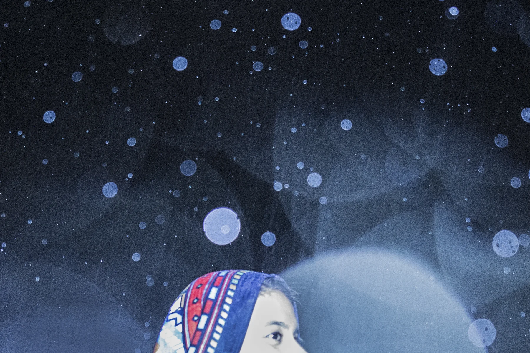 Clementine-4.jpg