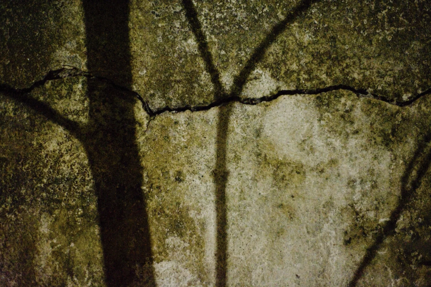 Untitled, 2013.