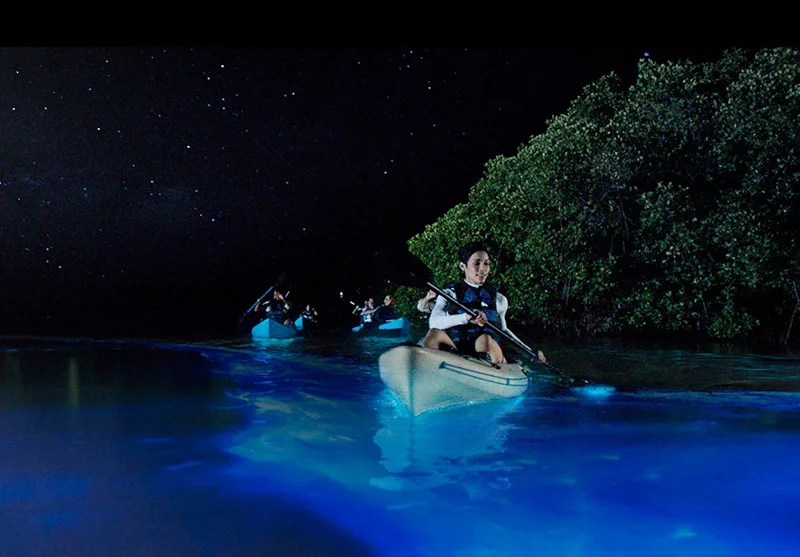 Kayak Tour.jpg
