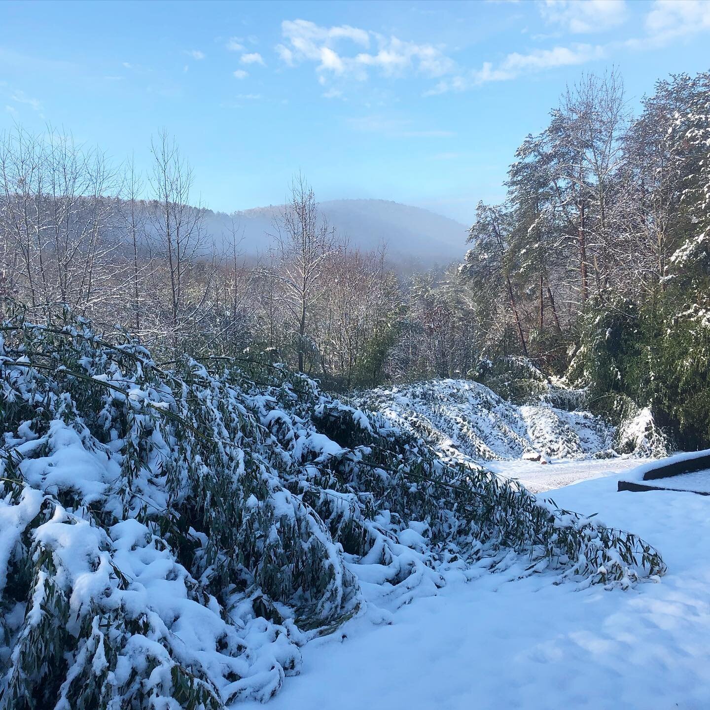 The mountain is looking a little frosty this morning ❄️ 
.
.
.
#parismountain #parismountainstatepark #travelersresthere #travelersrest #snowday #snow #yeahthatgreenville