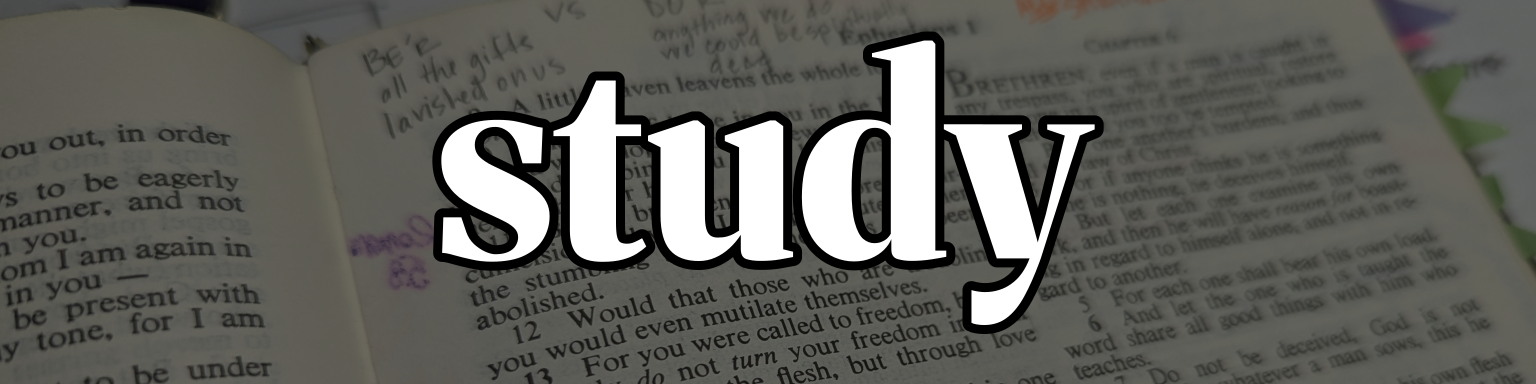 STUDY