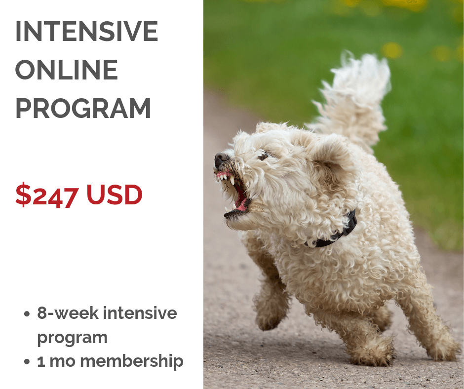 SS_ Reactive Dog Program - ONLINE (1) (1).png