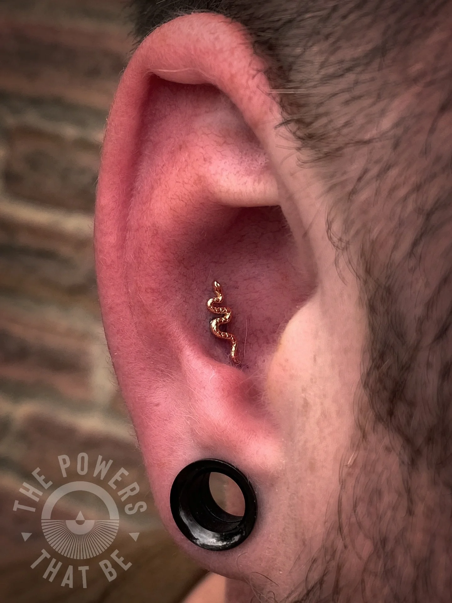 We told y&rsquo;all the new spooky season ends wouldn&rsquo;t last long🐍

Thanks for coming in, Daniel! Always so good to see you!

Fresh conch piercing done by @rlebron19 👏🏽