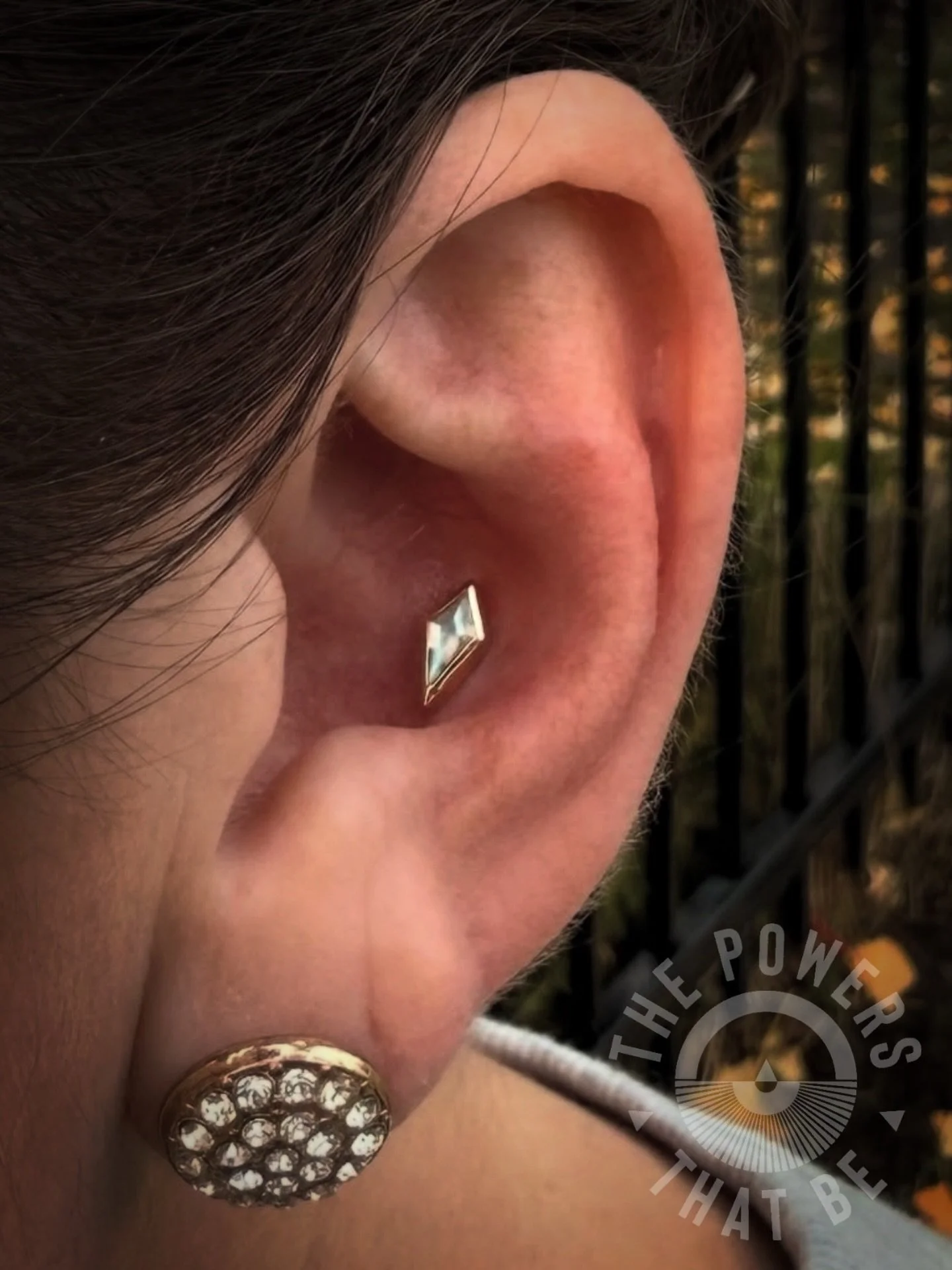 Labradorite is one of those things that just makes us go😮&zwj;💨

Especially when it&rsquo;s the center piece in a conch like this ✨

Conch piercing by @rlebron19 🖤