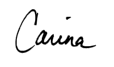 Vector signature 3 with no background.png