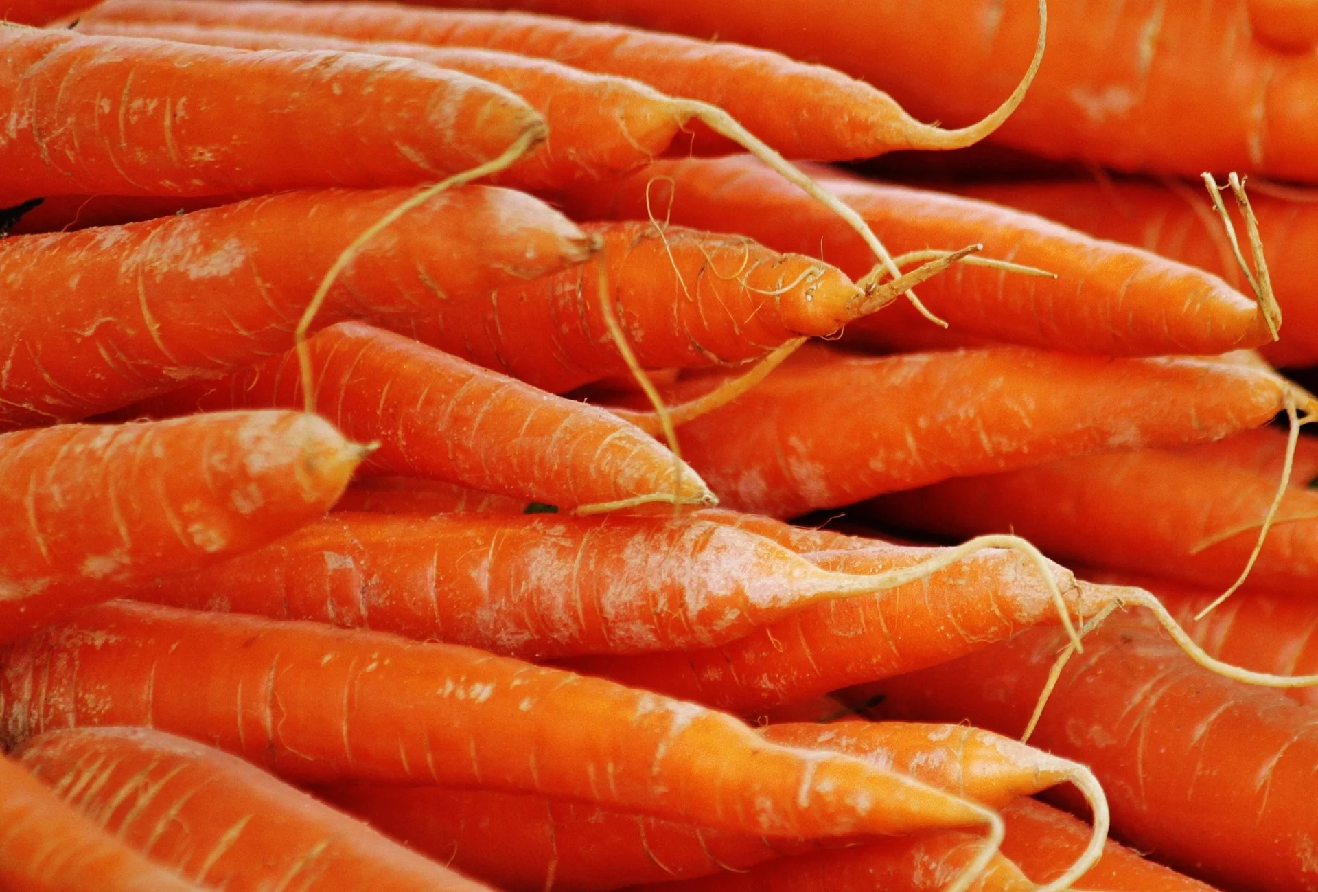 Fruits and Vegetables are Best when They're in Season. So are We.