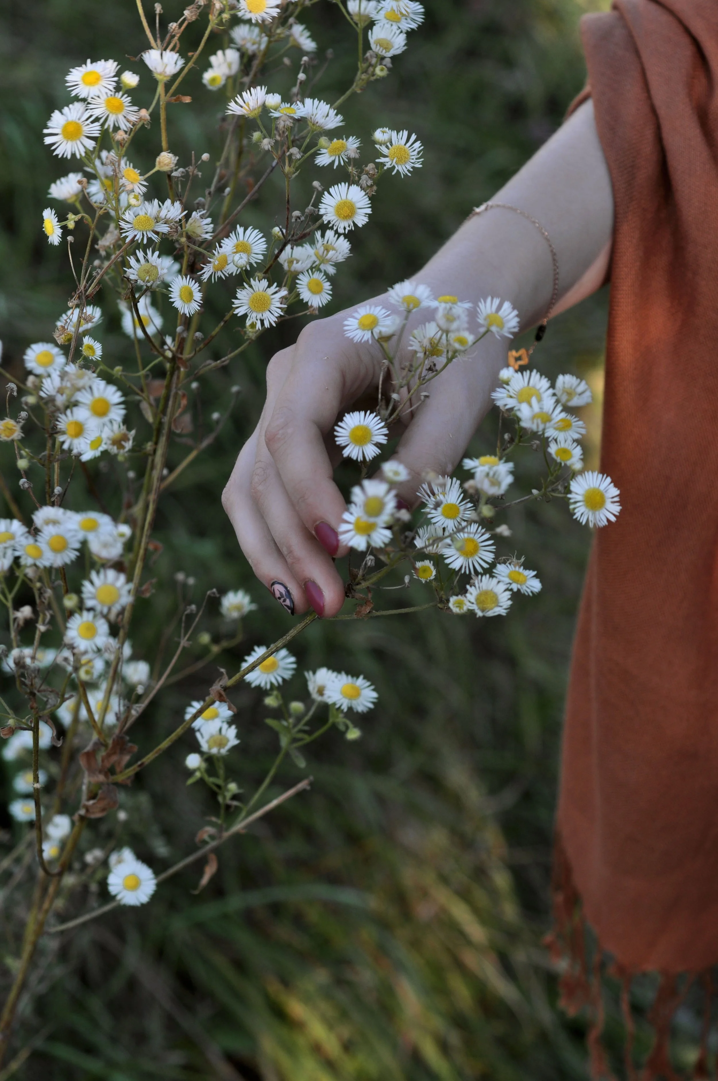 photo by SL on unsplash