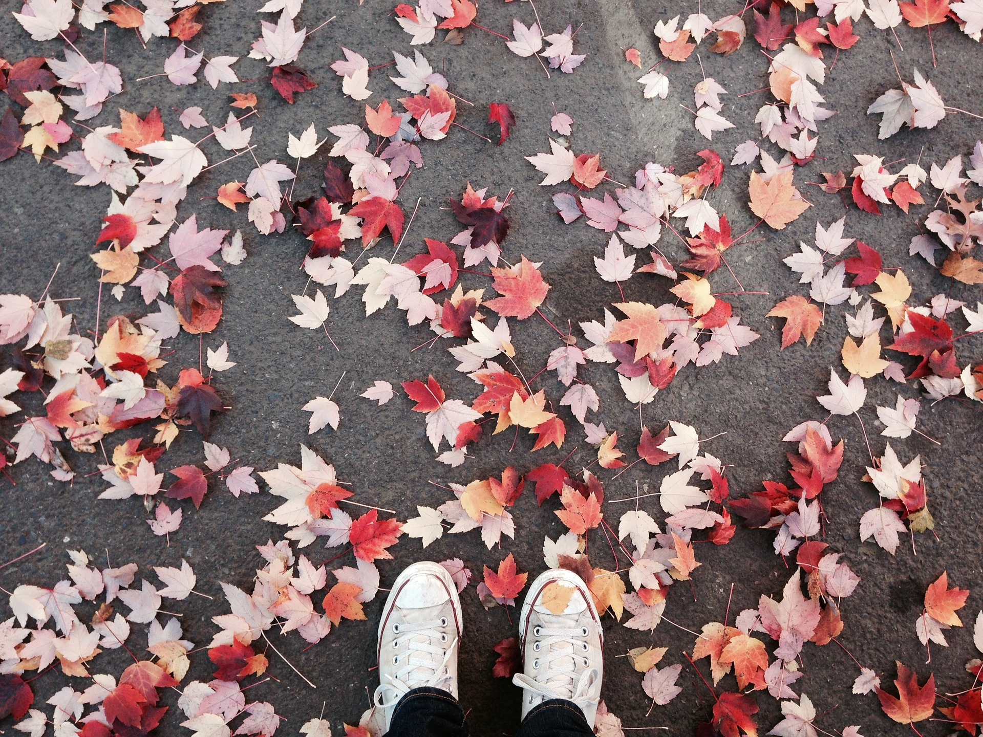 photo by WENDY THORNELL on PIXABAY