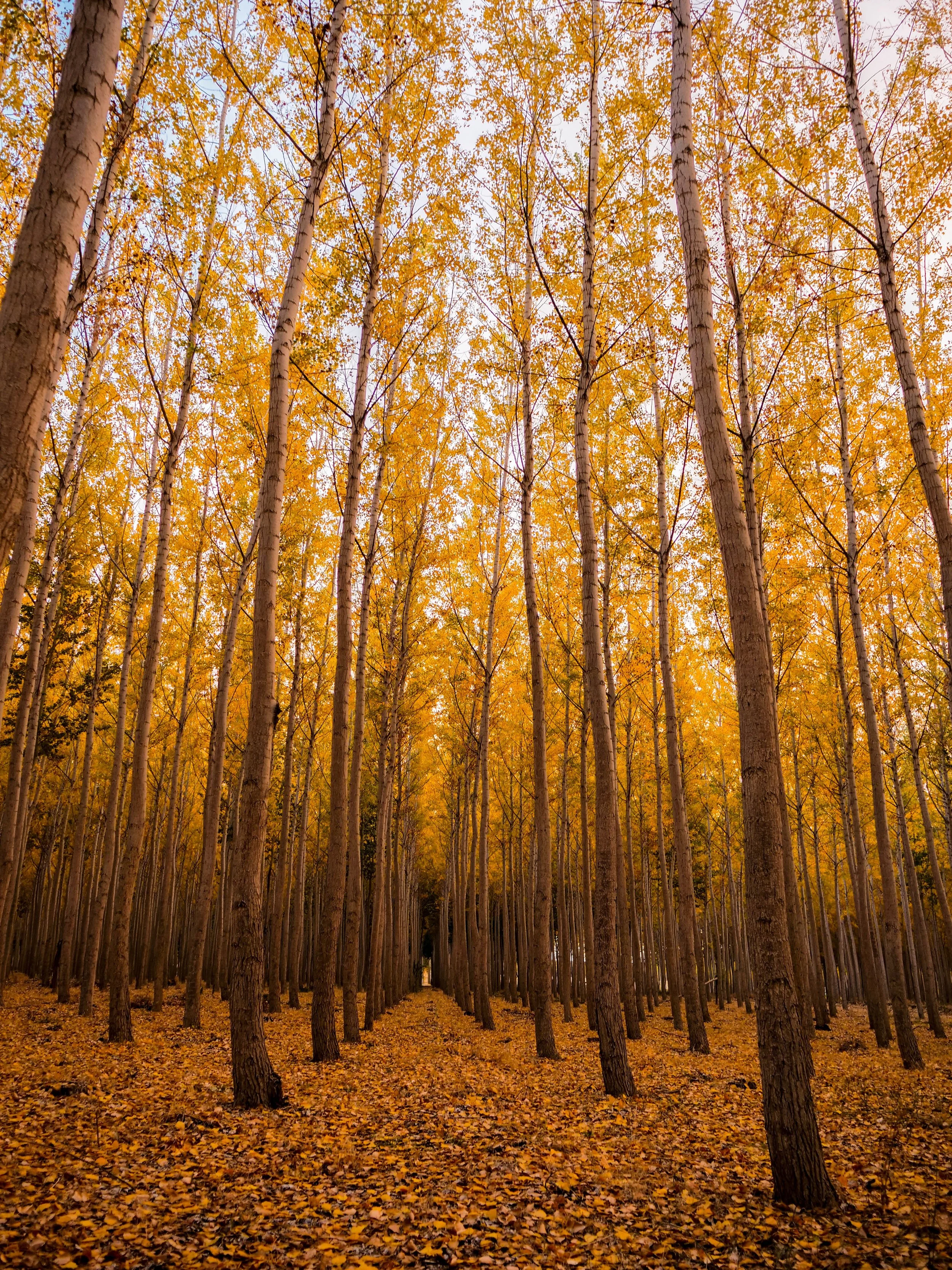 photo by David kovalenko on unsplash