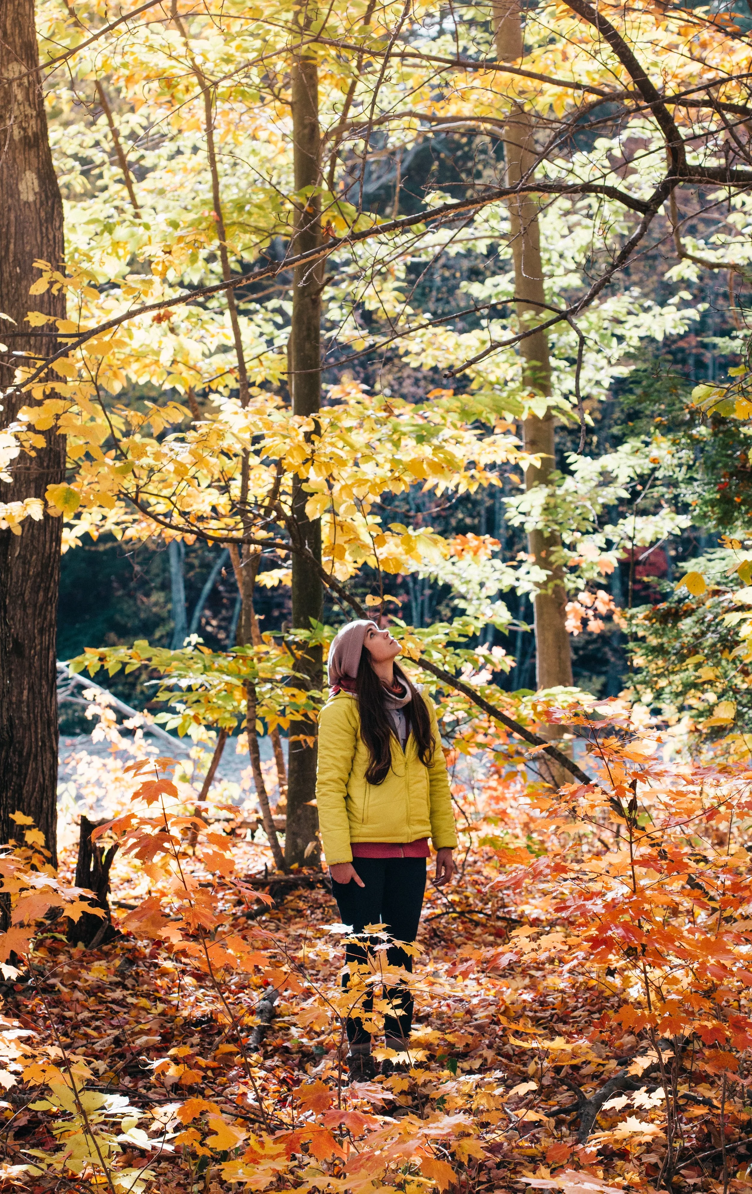 Wondering What God Really Wants?