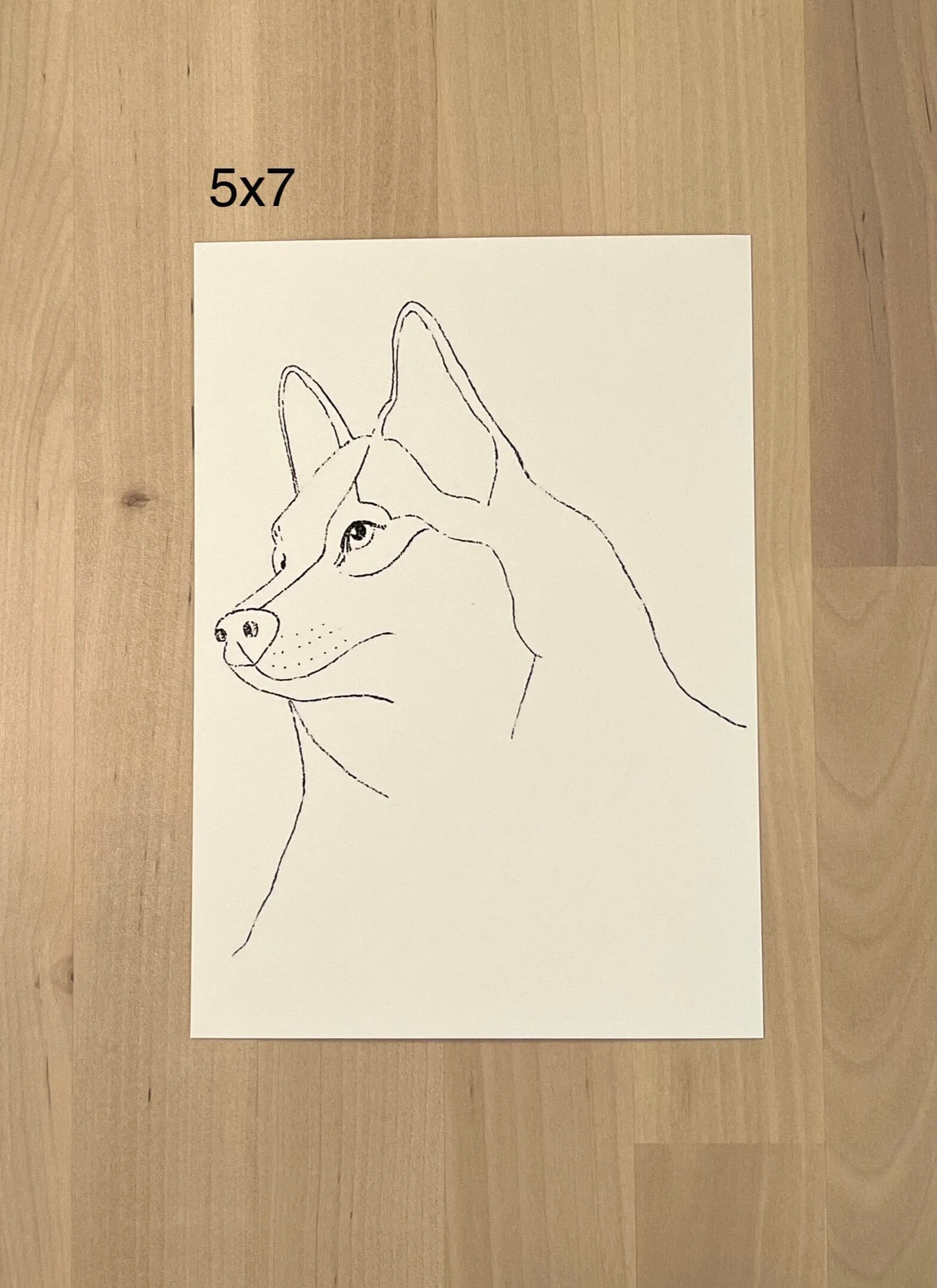 44B32028-AC72-4735-9349-A098D6652A50