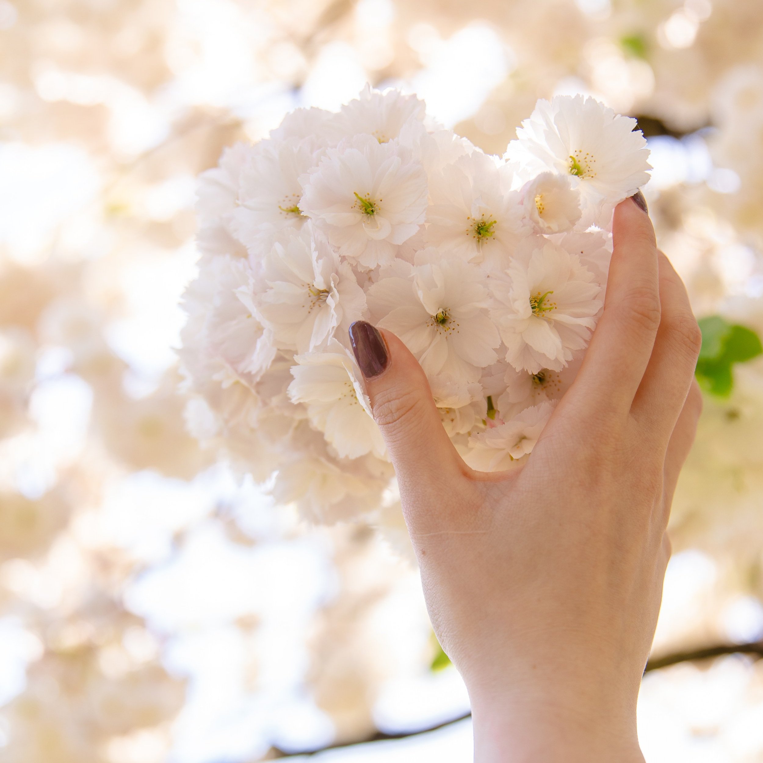 All Things Beautiful in His Time: Hope in Seasons of Waiting