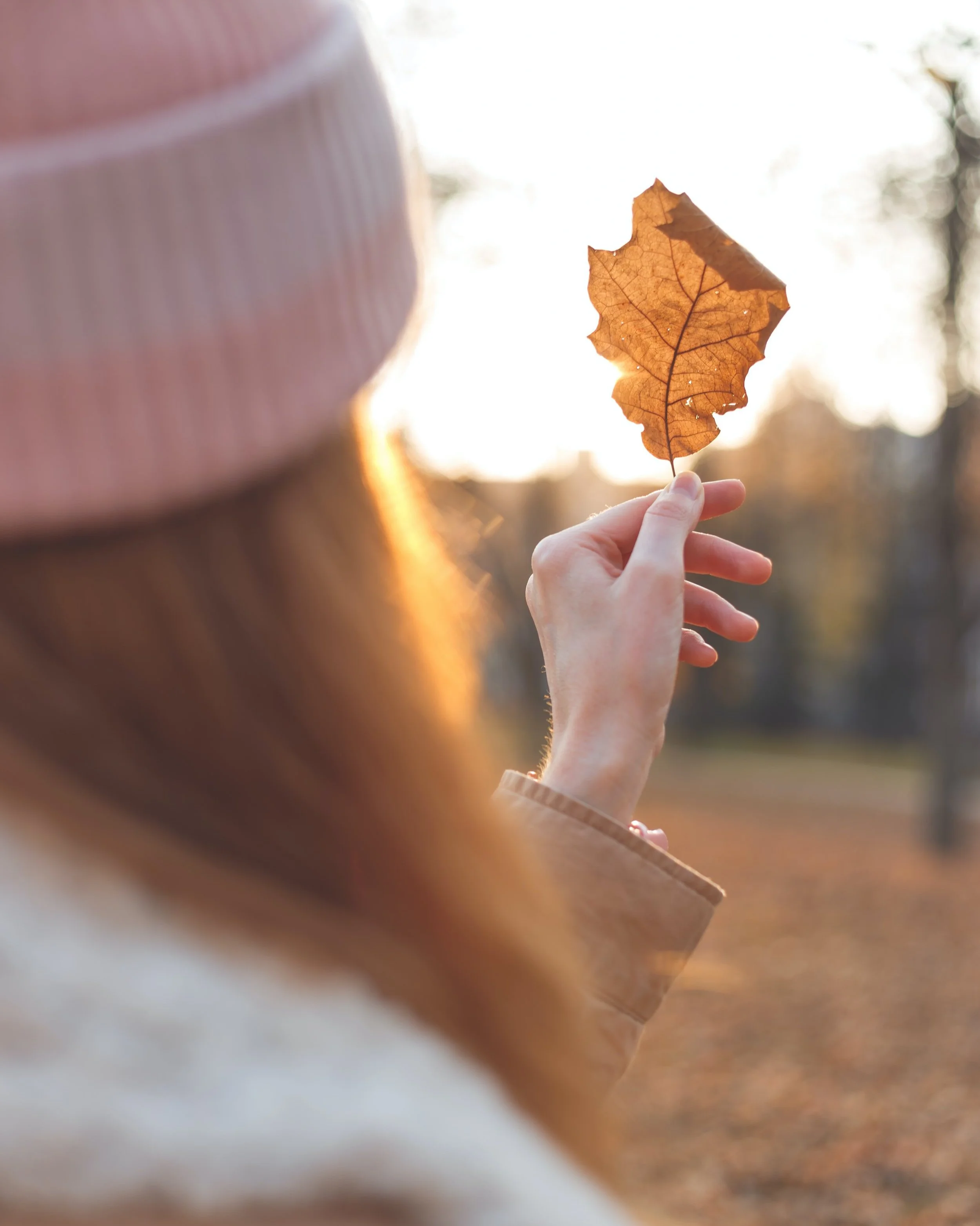 Help for When You Feel Overwhelmed by Requests, the Power of Timeouts, Freedom From Clutter, Maternity Photo Shoot, and More!
