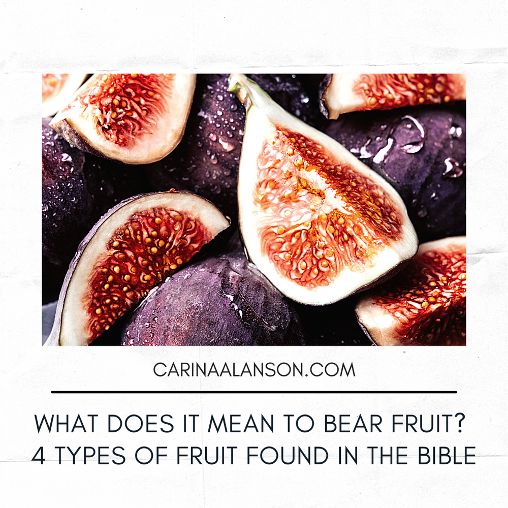 Bear Fruit Bible Text | 30 Powerful Bear Fruit Bible Verse – XMLNW