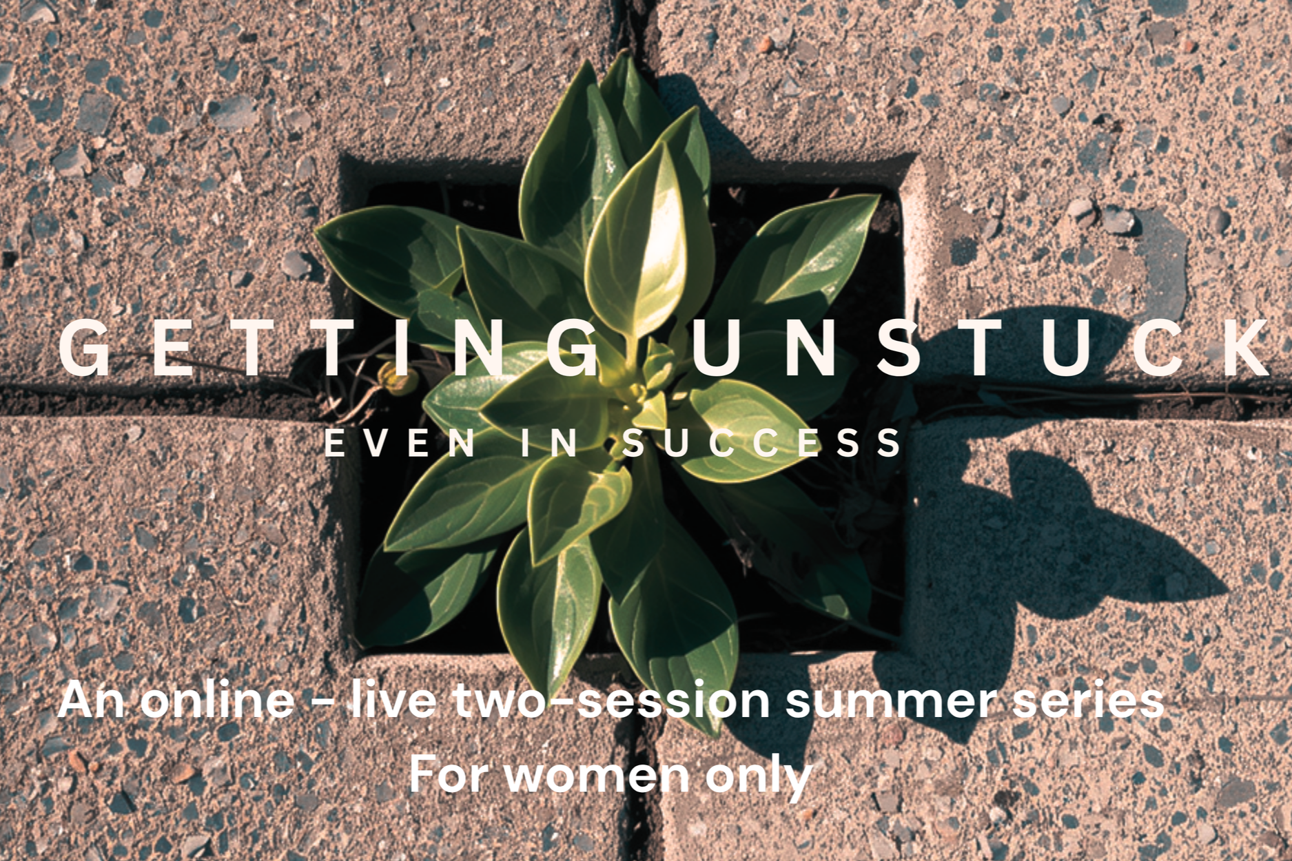 Getting Unstuck — Even in Success - 2 live Zoom sessions