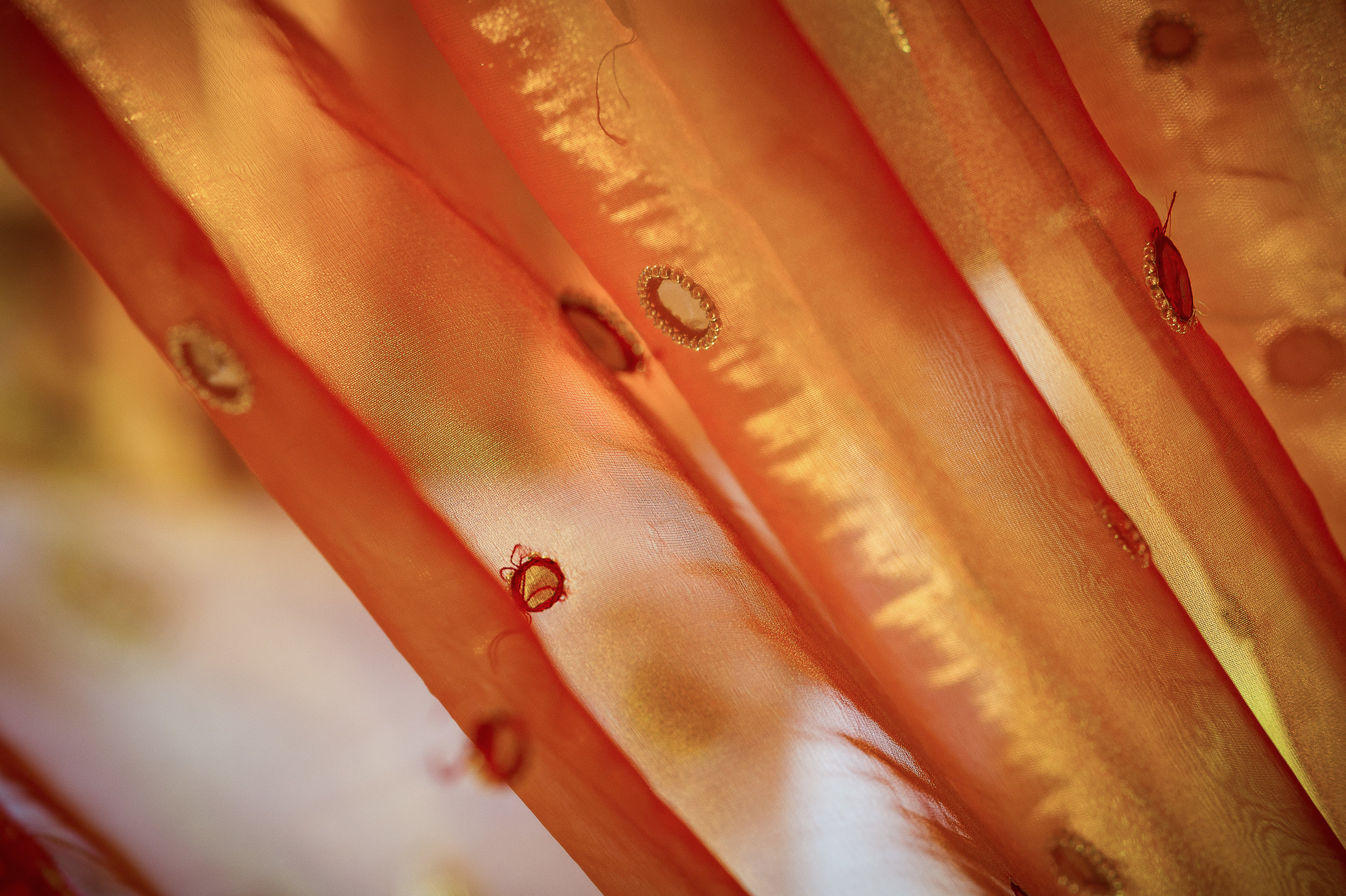 086SEL_D3S_4205.jpg