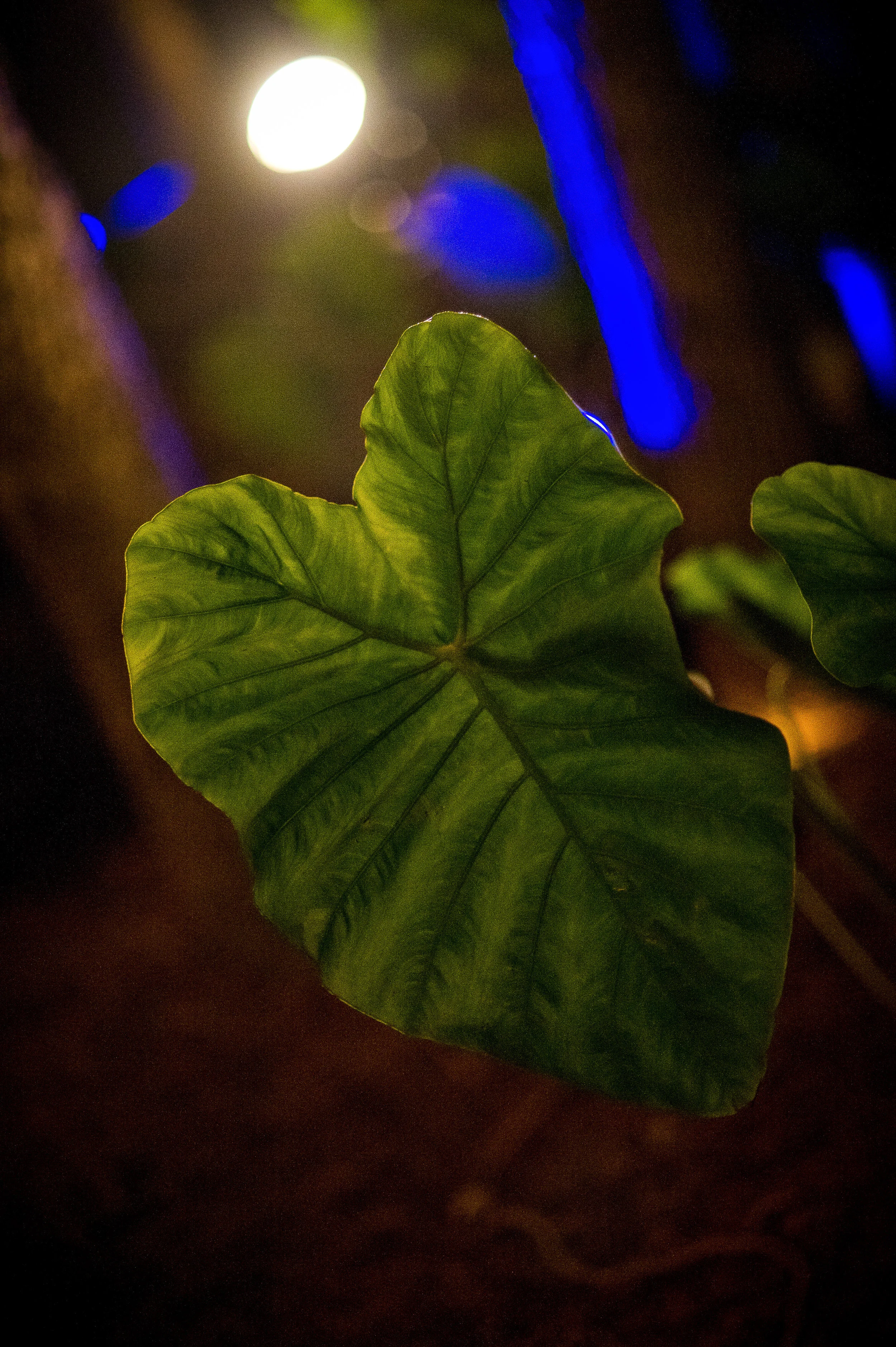 061_134SEL_D3S_9925.jpg