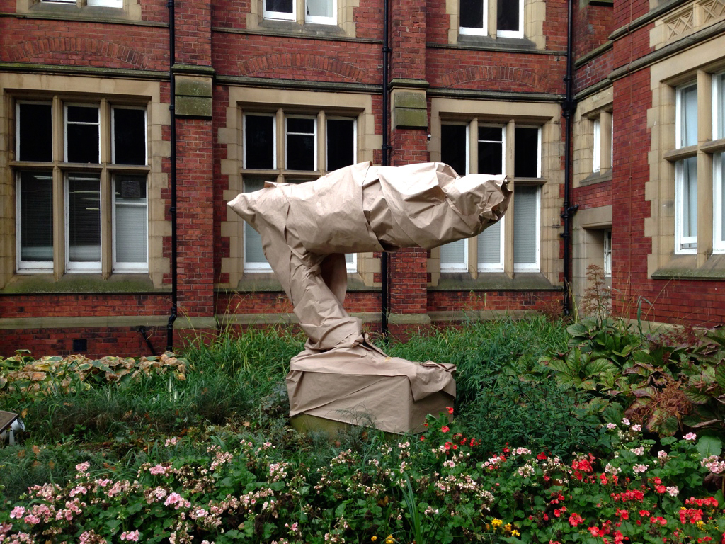 Gorilla Project: Levitating Woman 'The Dreamer'