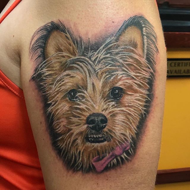 A fun #yorkieshitzu #tattoo I got to make the other week . Thanks for lookin! #heavydutytattoo #ogdentattoo #utahtattoo #brandonlewismachines #ogden #dogportrait #dogtattoo #scottrichardsontattoos