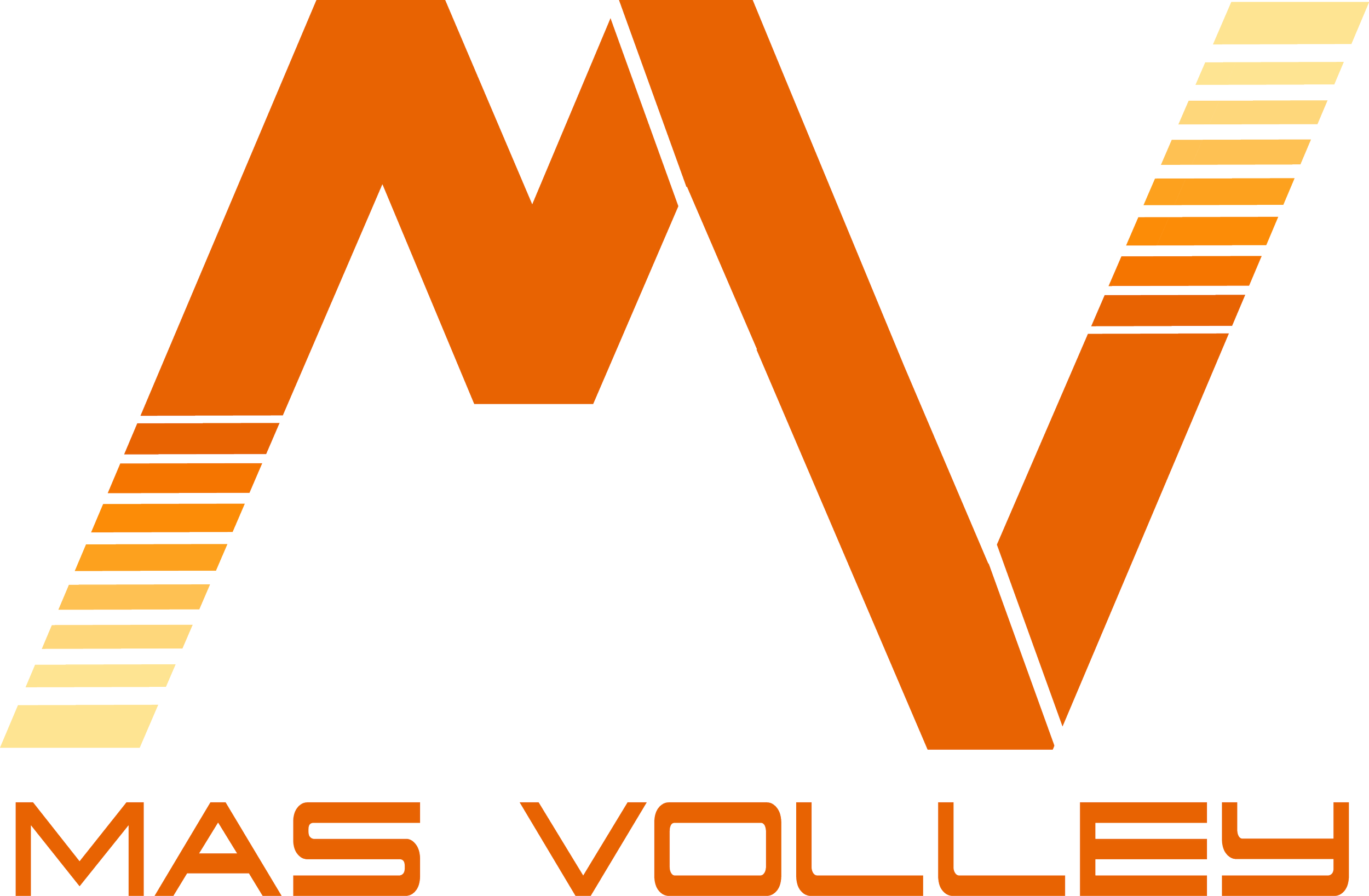 MasVolleyFinalcolor.png