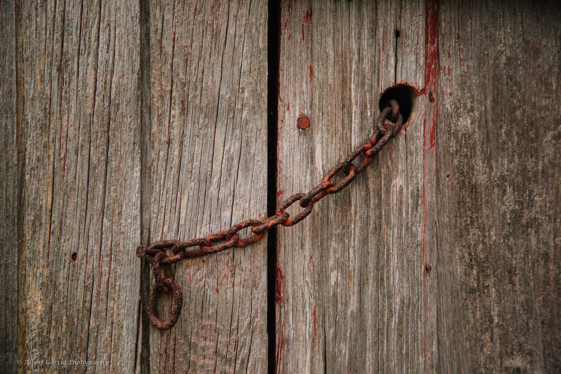 barn doors.jpg