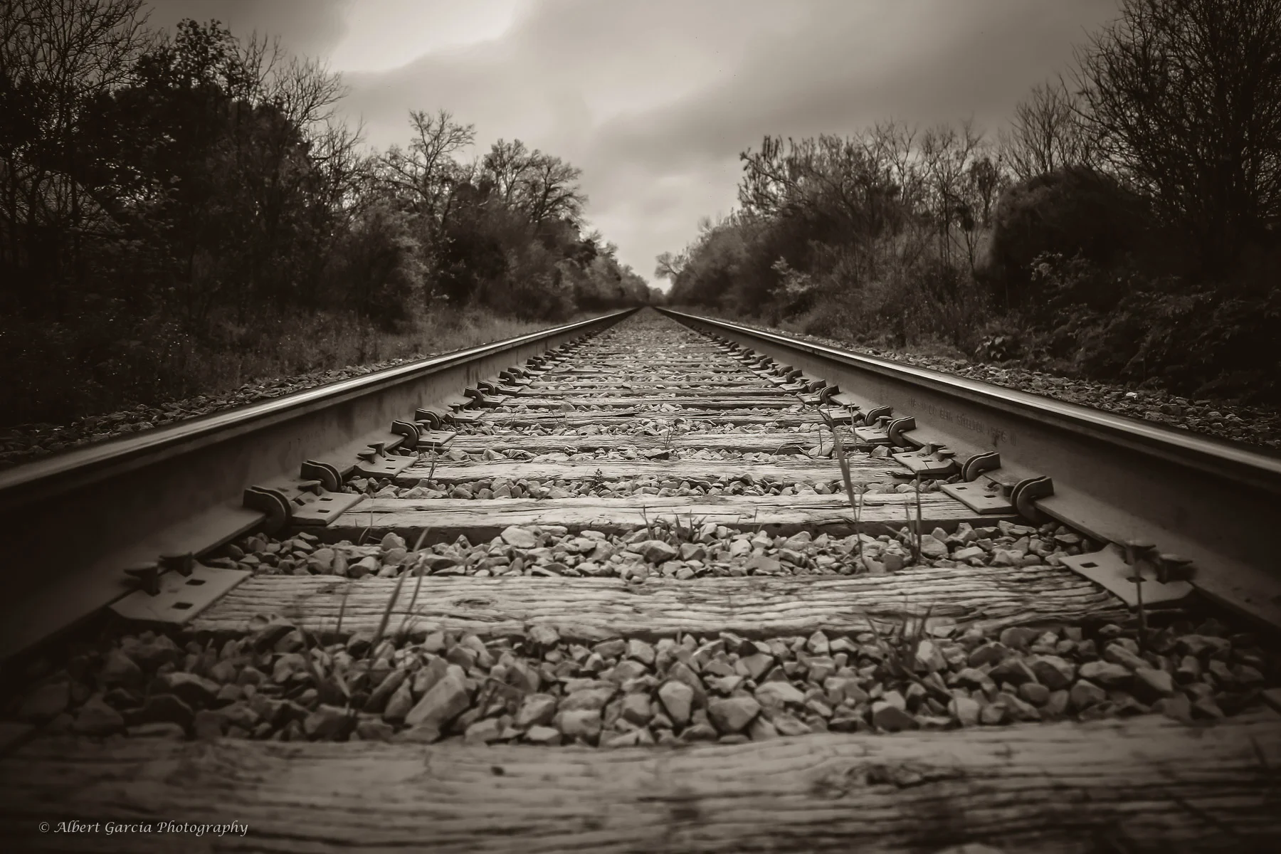 tracks.jpg