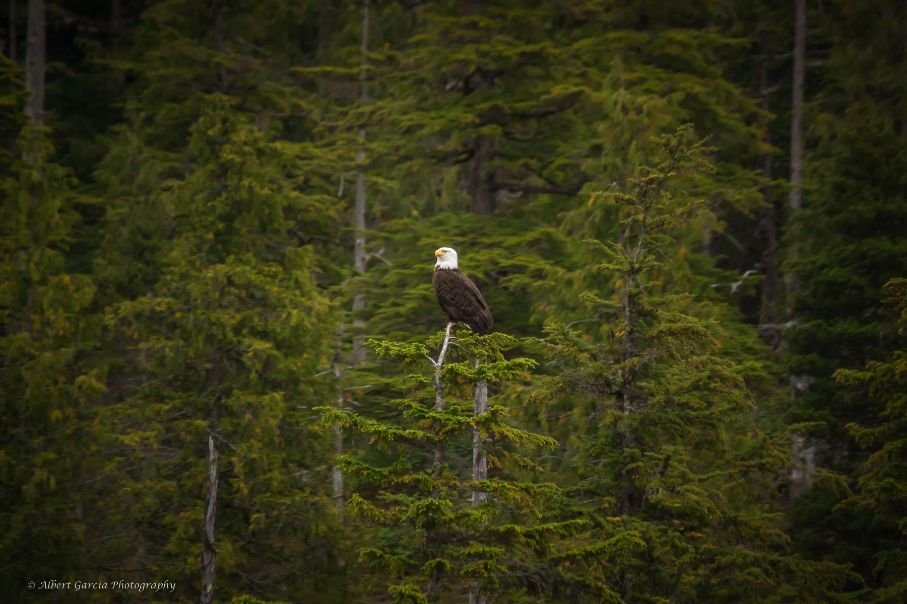 alaska 4.jpg