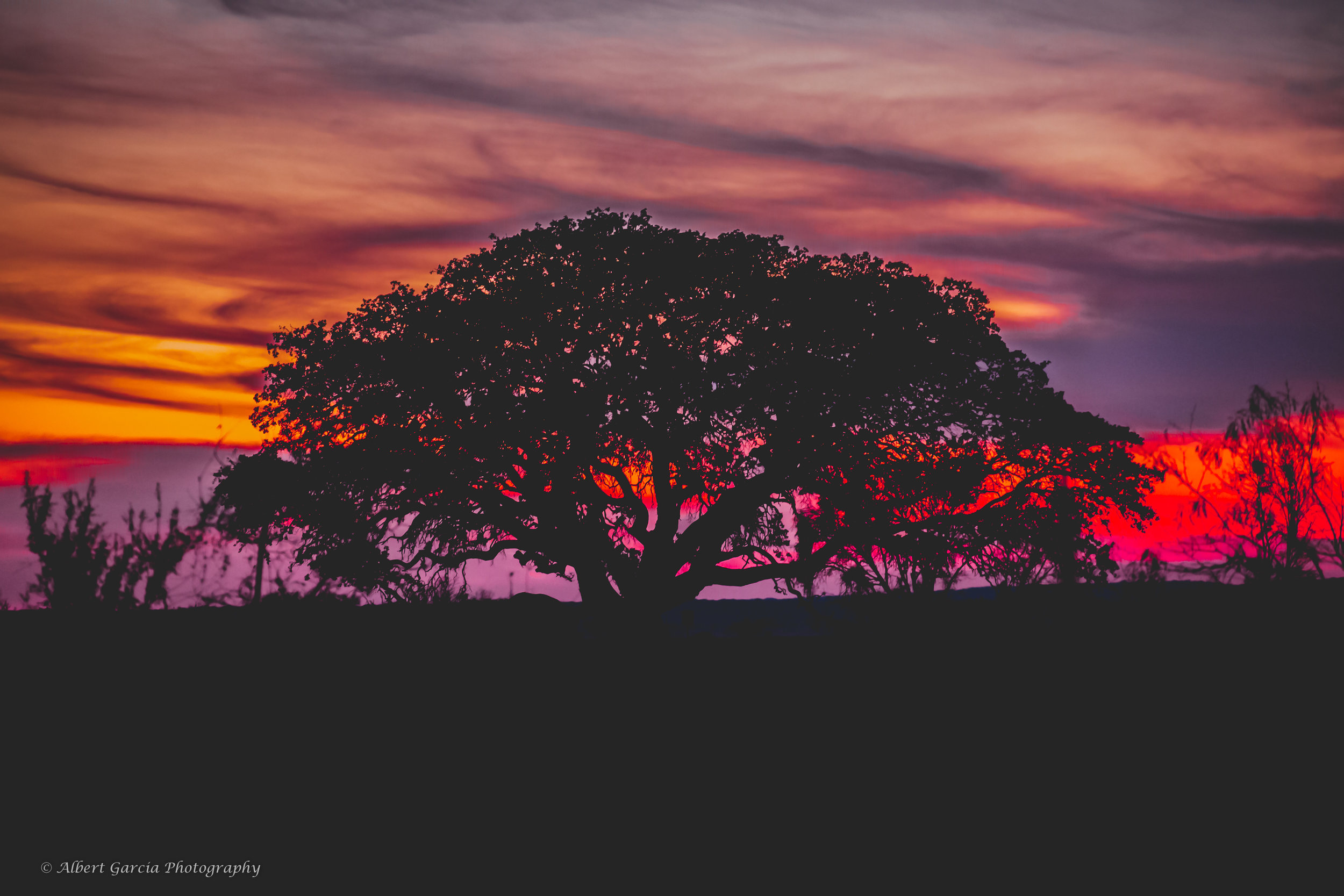 colorful sunset no WM 3 watermark - 150.jpg