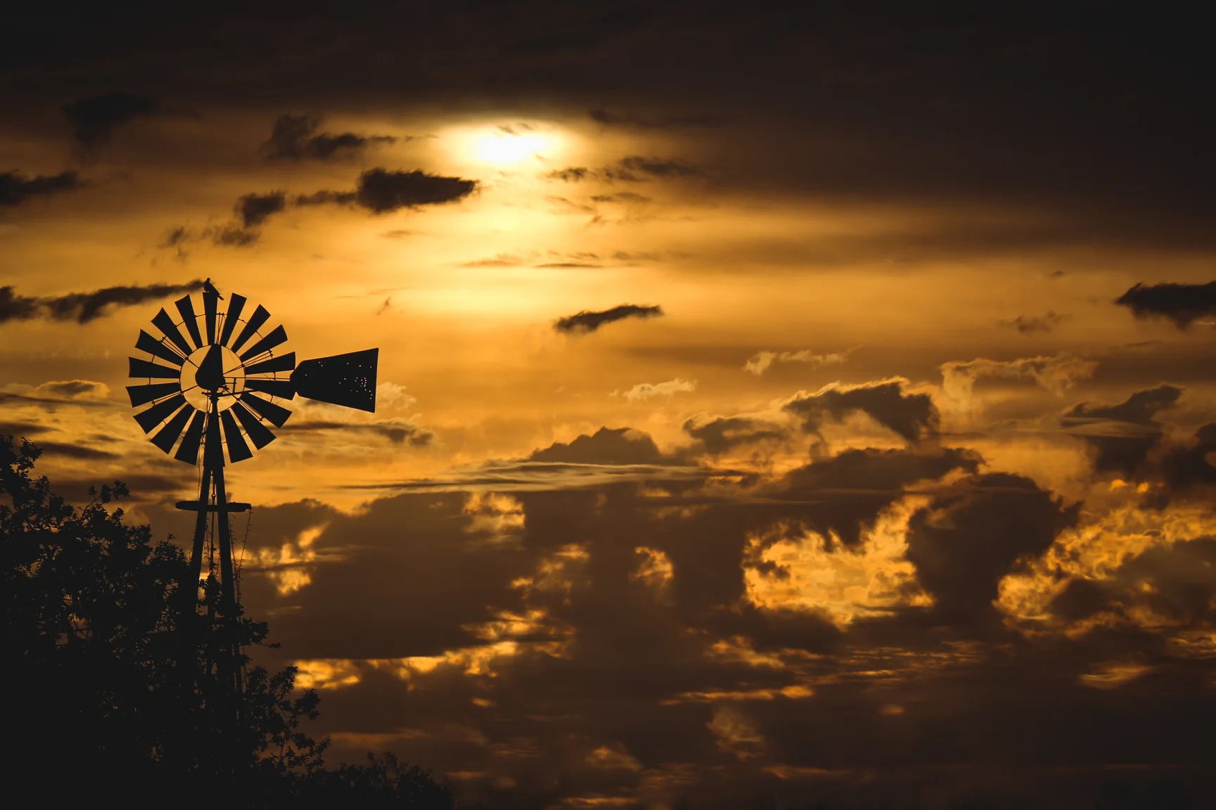 windmill ss.jpg