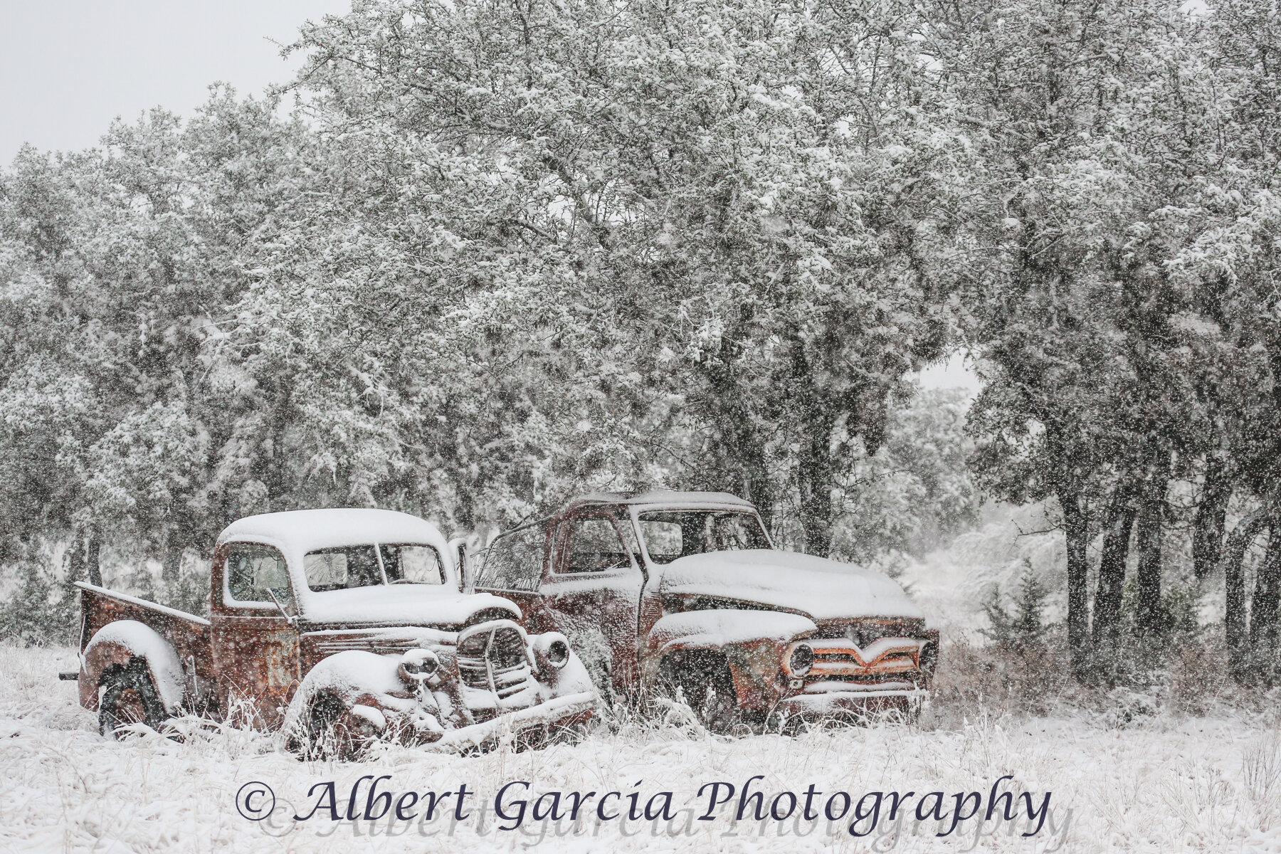 snow trucks.jpg