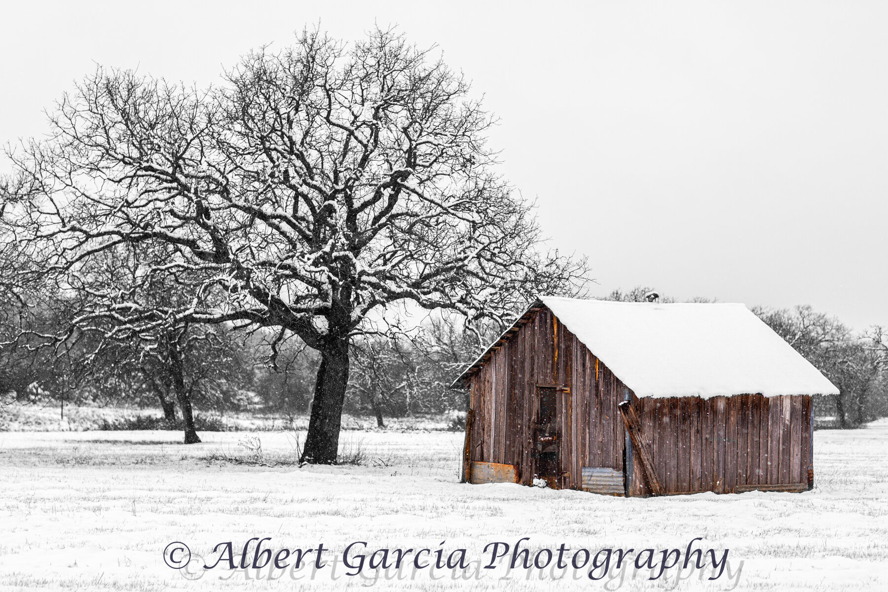 san saba barn.jpg