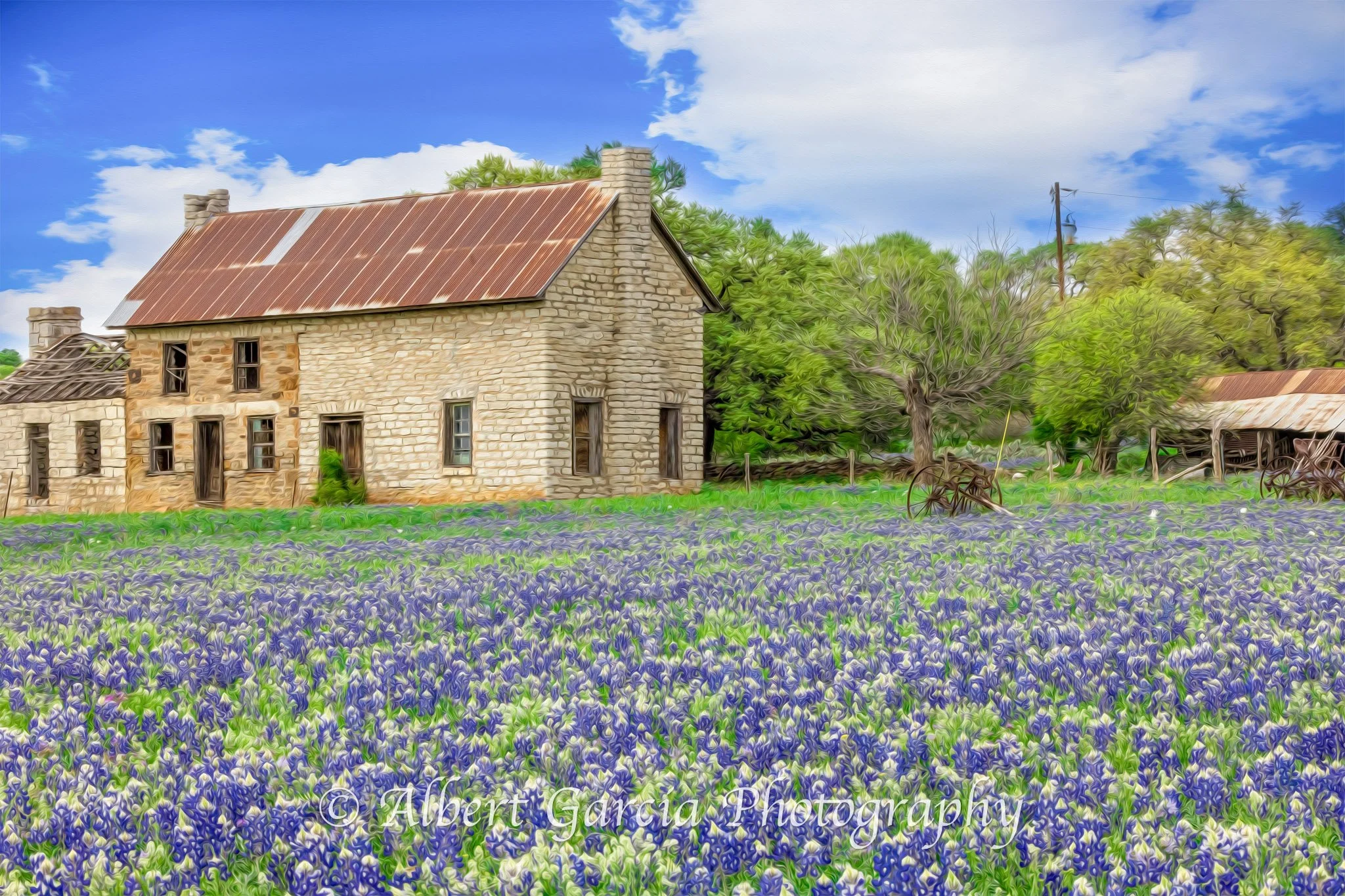 Bluebonnet House Oil-1.jpg