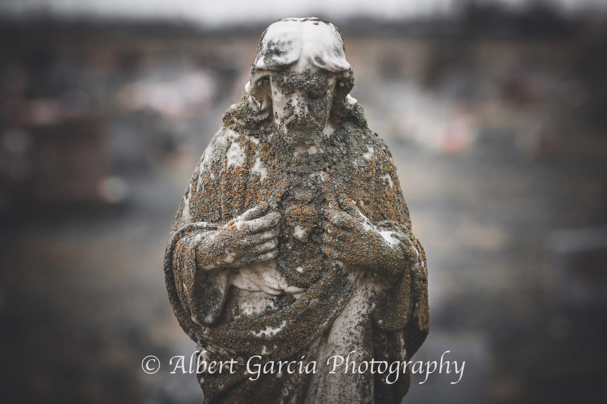 sacred heart.jpg