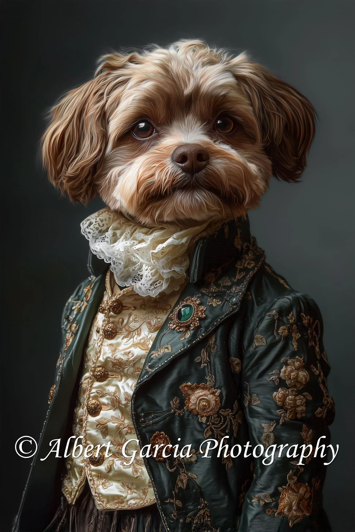 dog 6 final.jpg