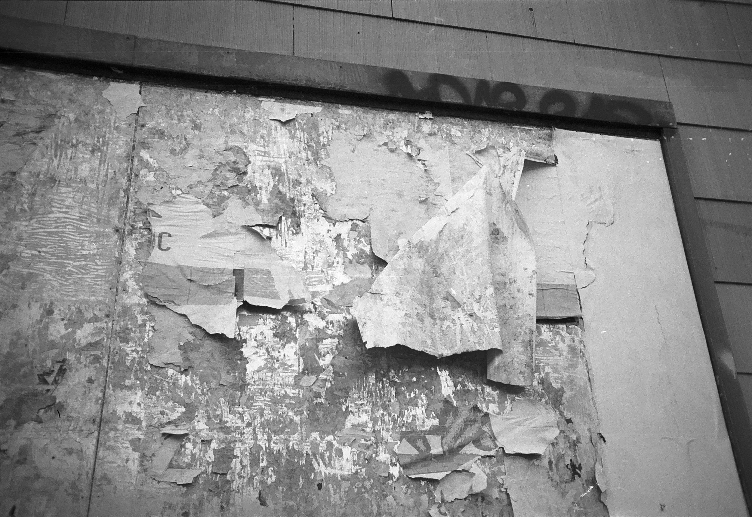 Untitled (77) copy.jpg