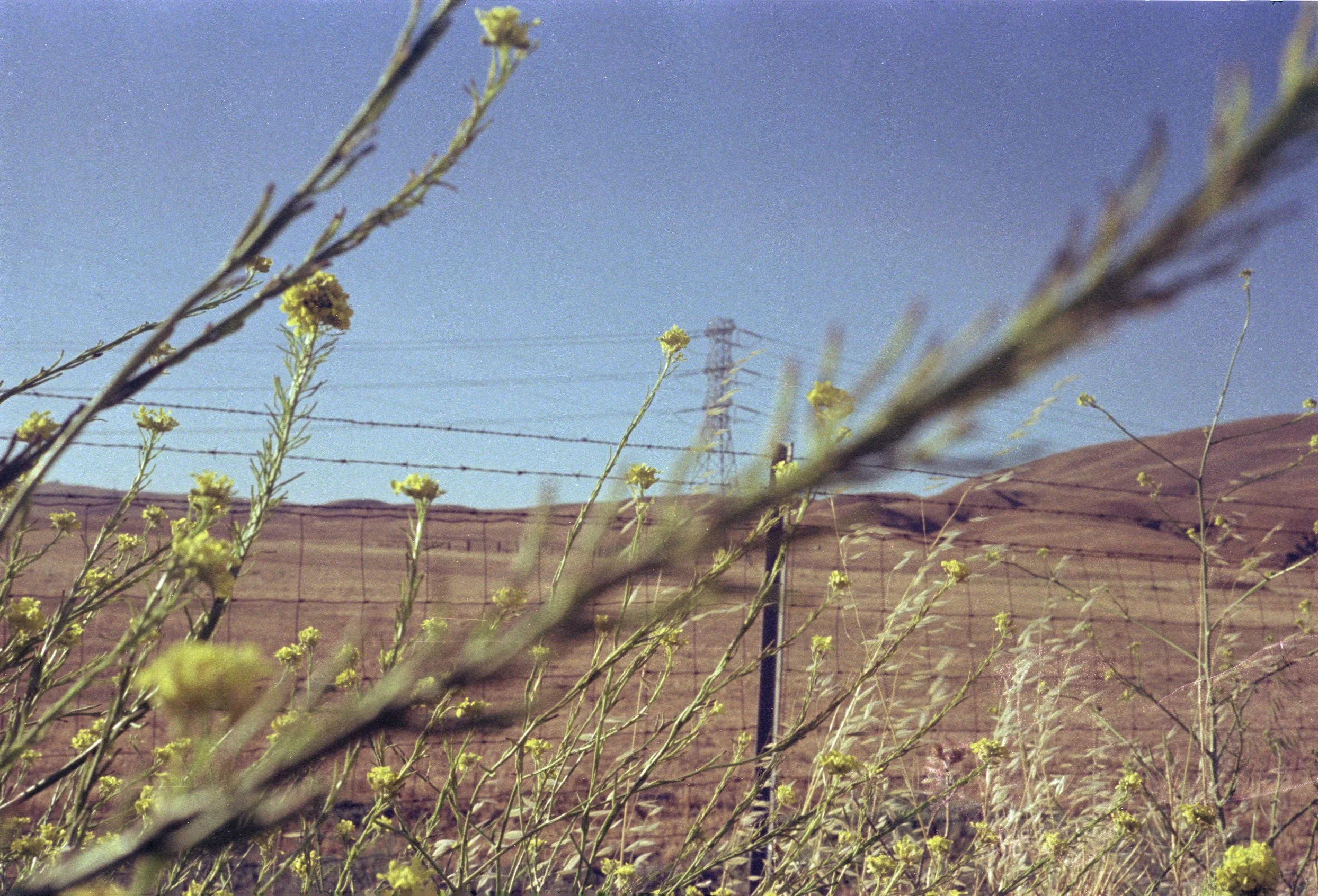 Untitled (408).jpg