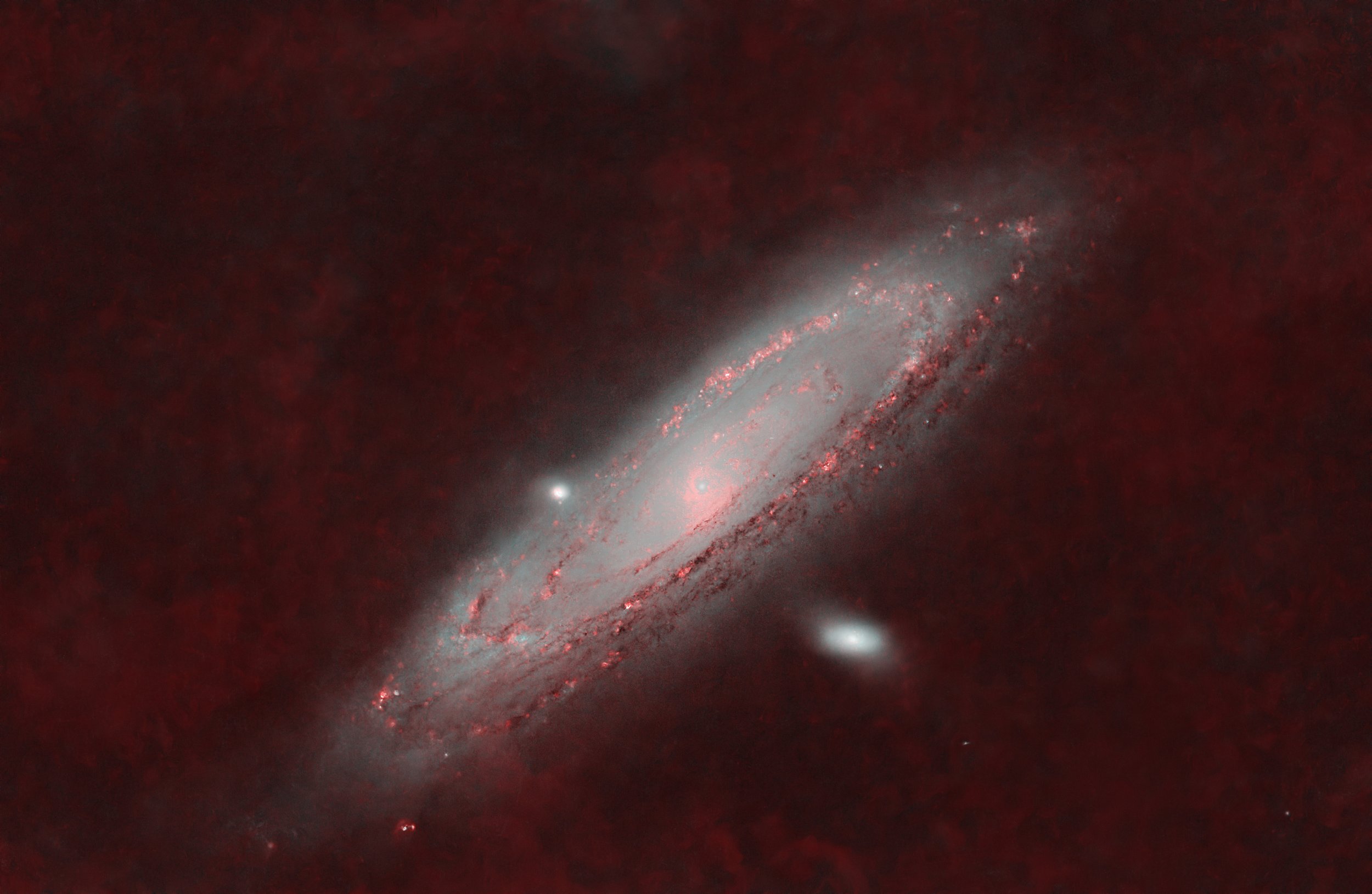 The Andromeda Galaxy + Continuum Subtracted Hydrogen Alpha