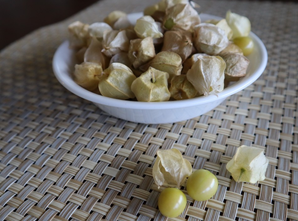 poha berries