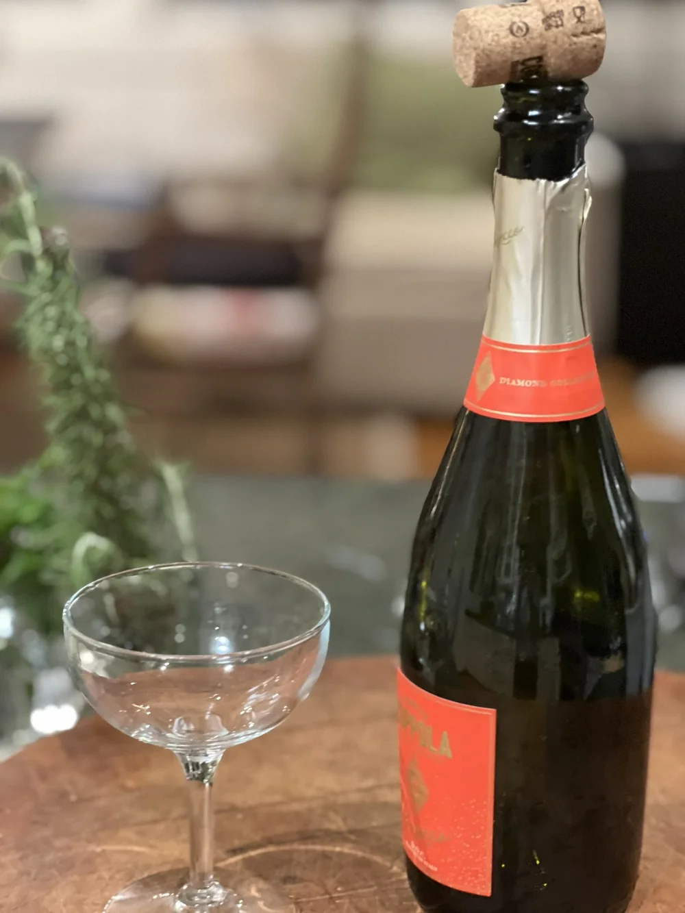 welcome to the new year!