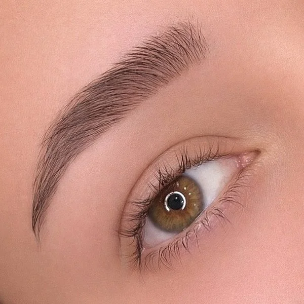 Brow shape &amp; tint ✨ 
.
.
.
.
#BrowShapeAndTint #BrowTint #BrowShaping #DefinedBrows #FullerBrows #BrowGoals #NaturalBrows #SoftGlamBrows #BrowArtist #CaledonBrows #caledon #browsbymercedes #OrangevilleBrows #BoltonBrows #GTABeauty #OntarioBrows #