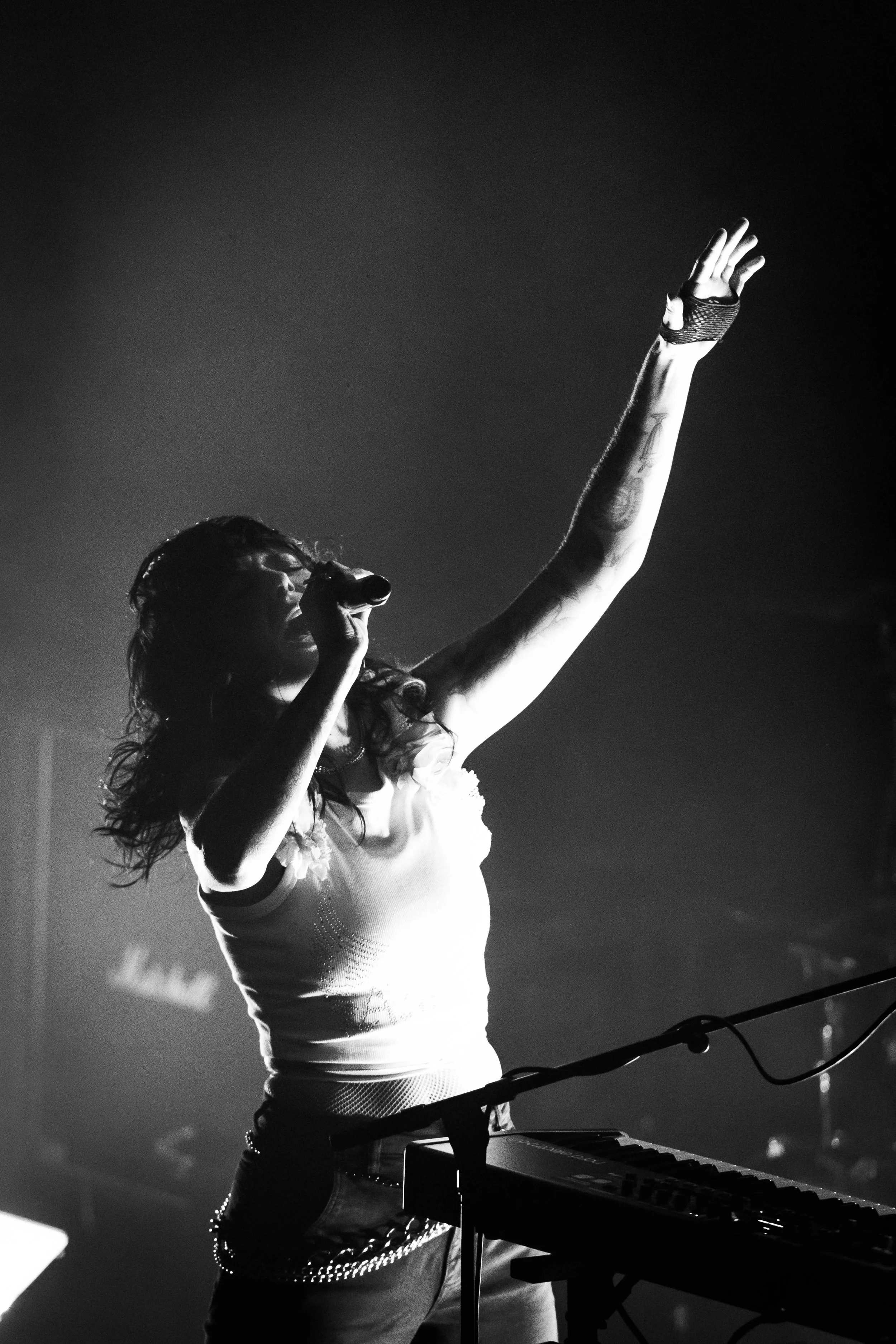 sleigh bells BW-212.jpg