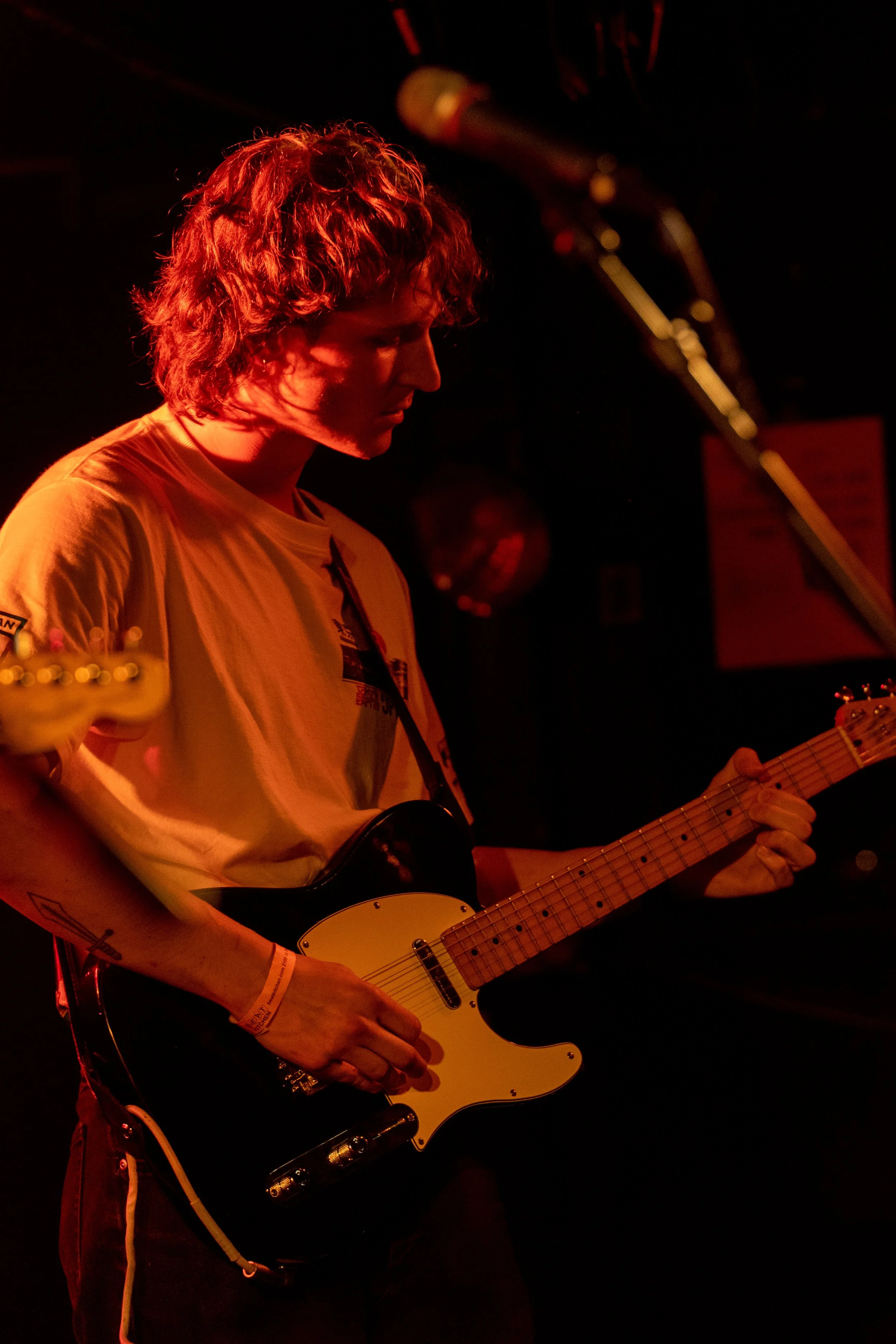 creeping charlie color-8.jpg