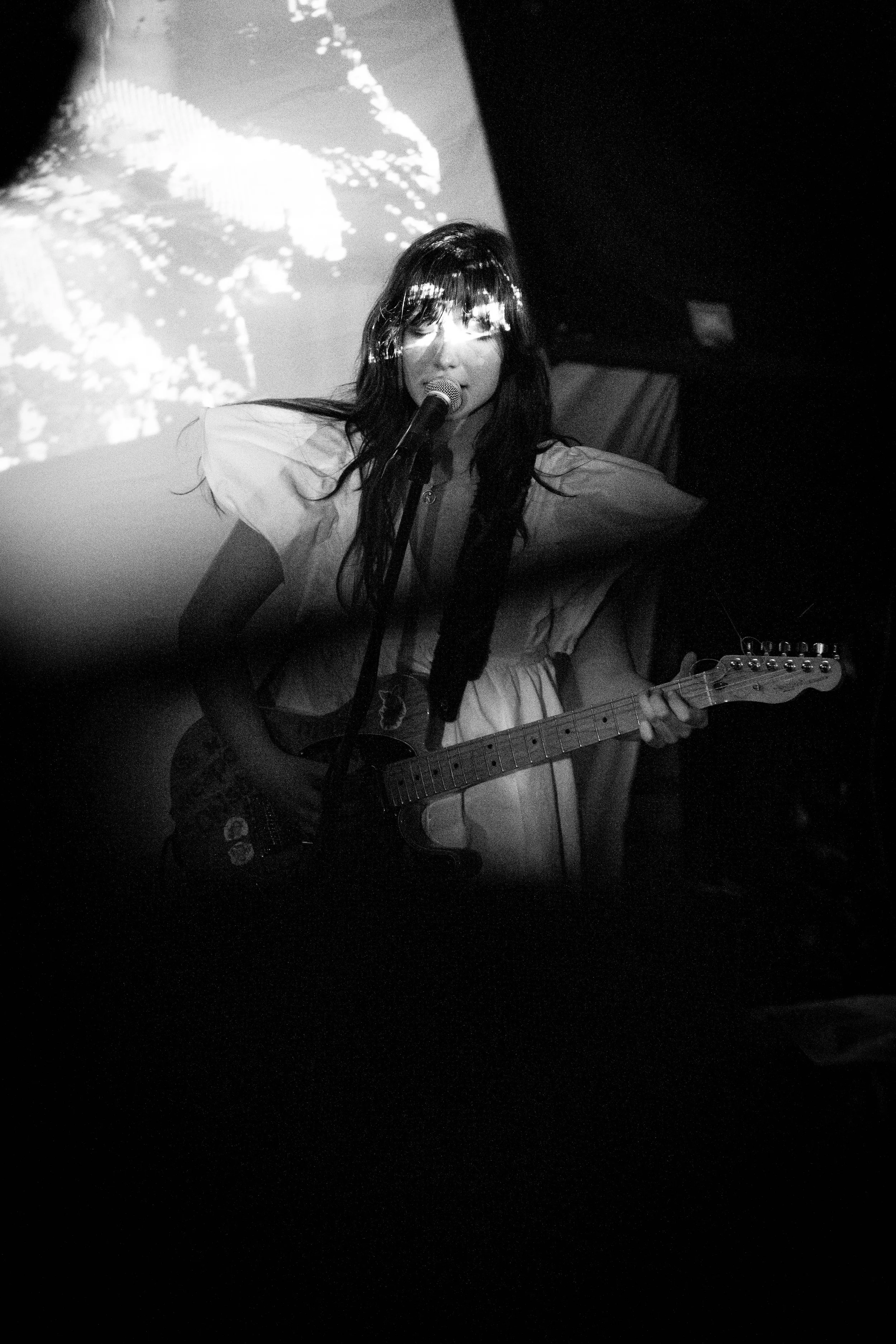 creeping charlie FL BW-88.jpg