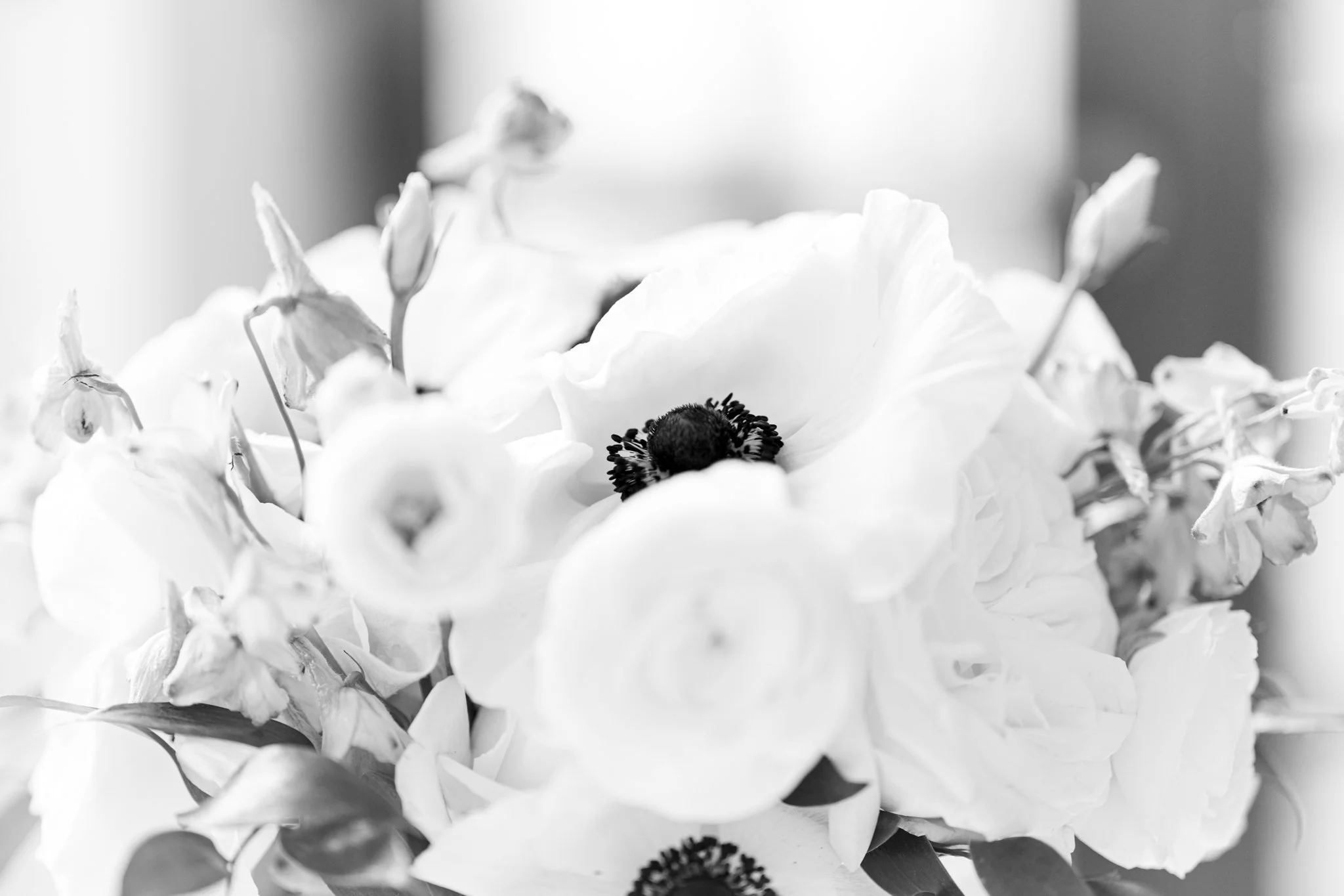 Natasha & John BW-1.jpg