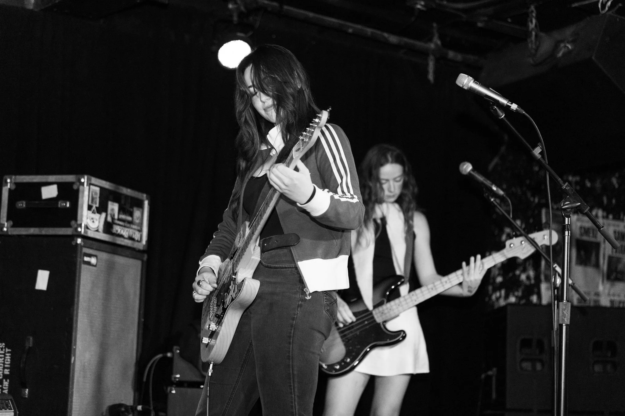 creeping charlie EB BW-994.jpg