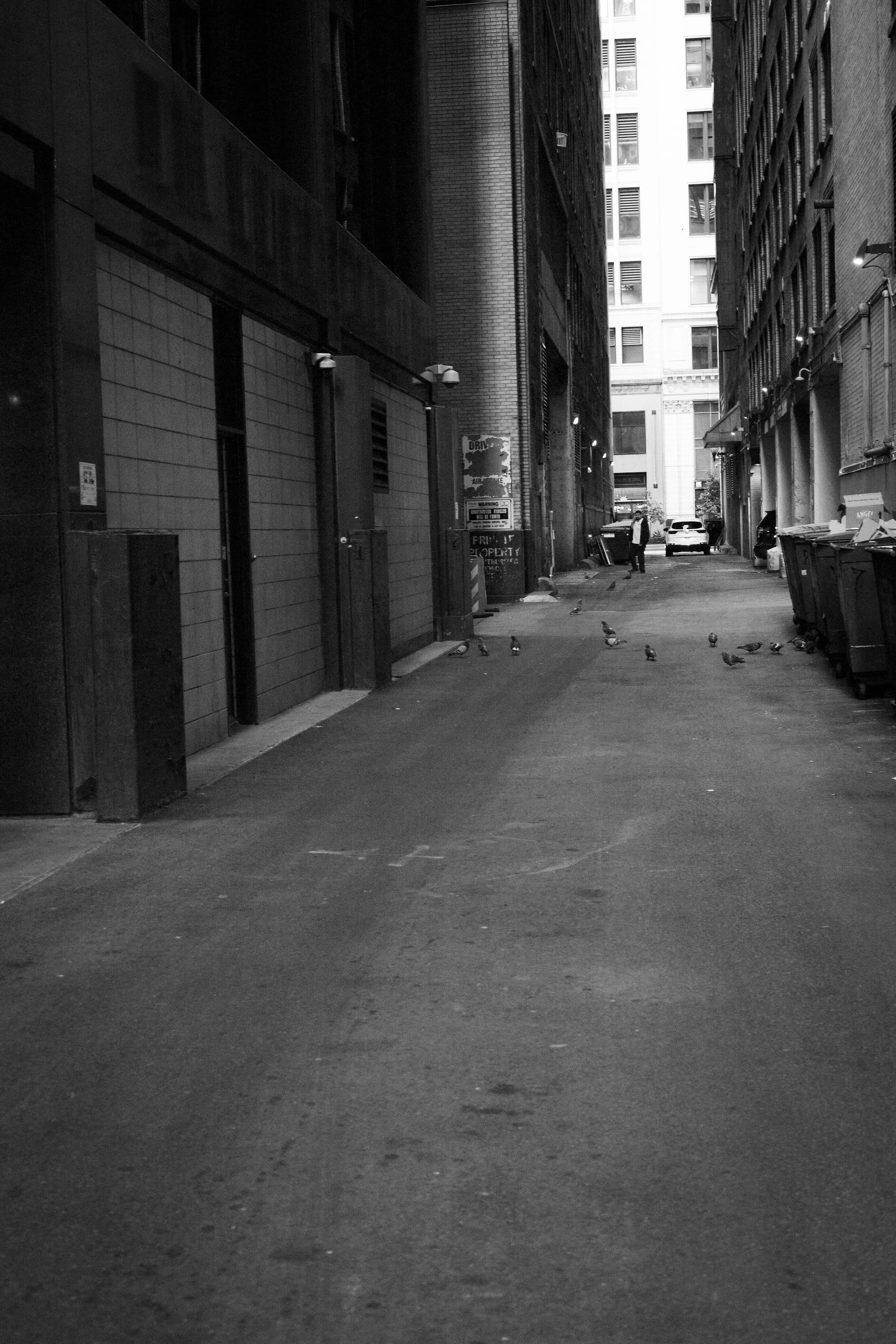 Street with Todd 9.25-18.jpg