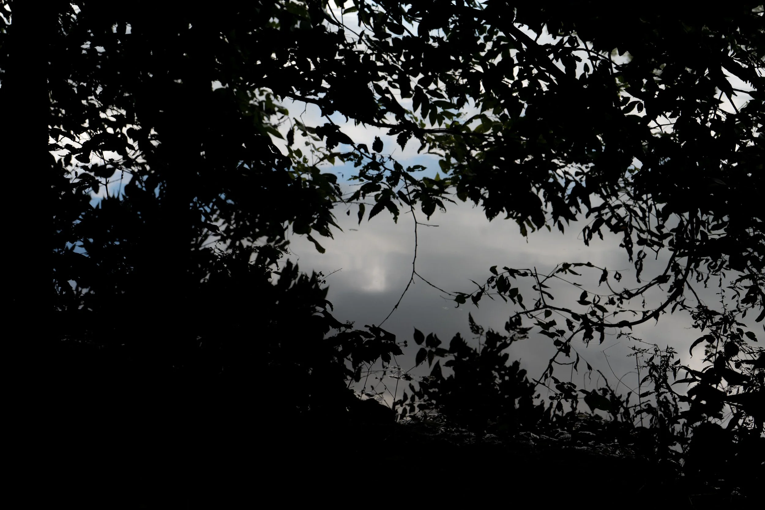 TGG grounds-96.jpg
