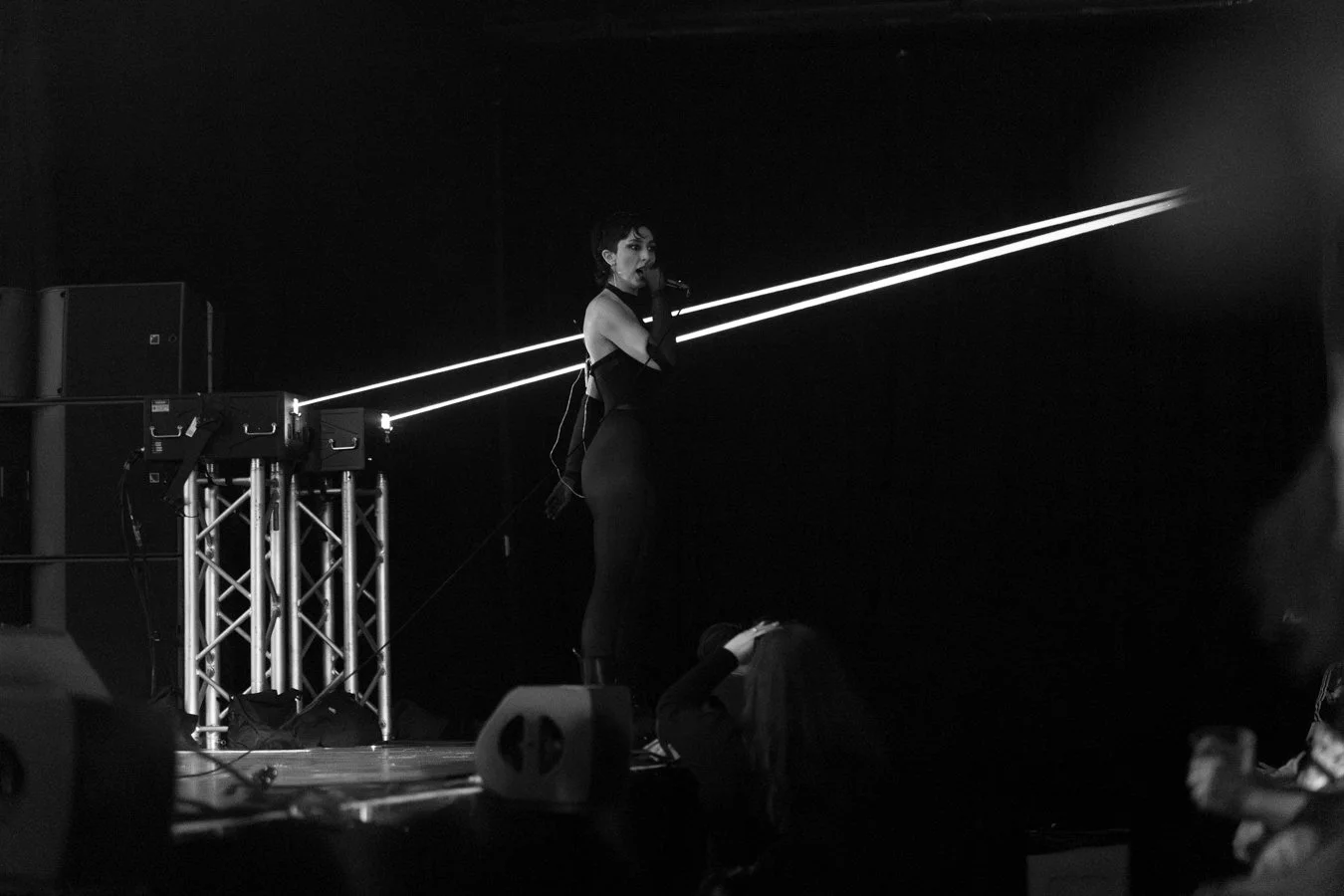 pixel grip SS bw-153.jpg