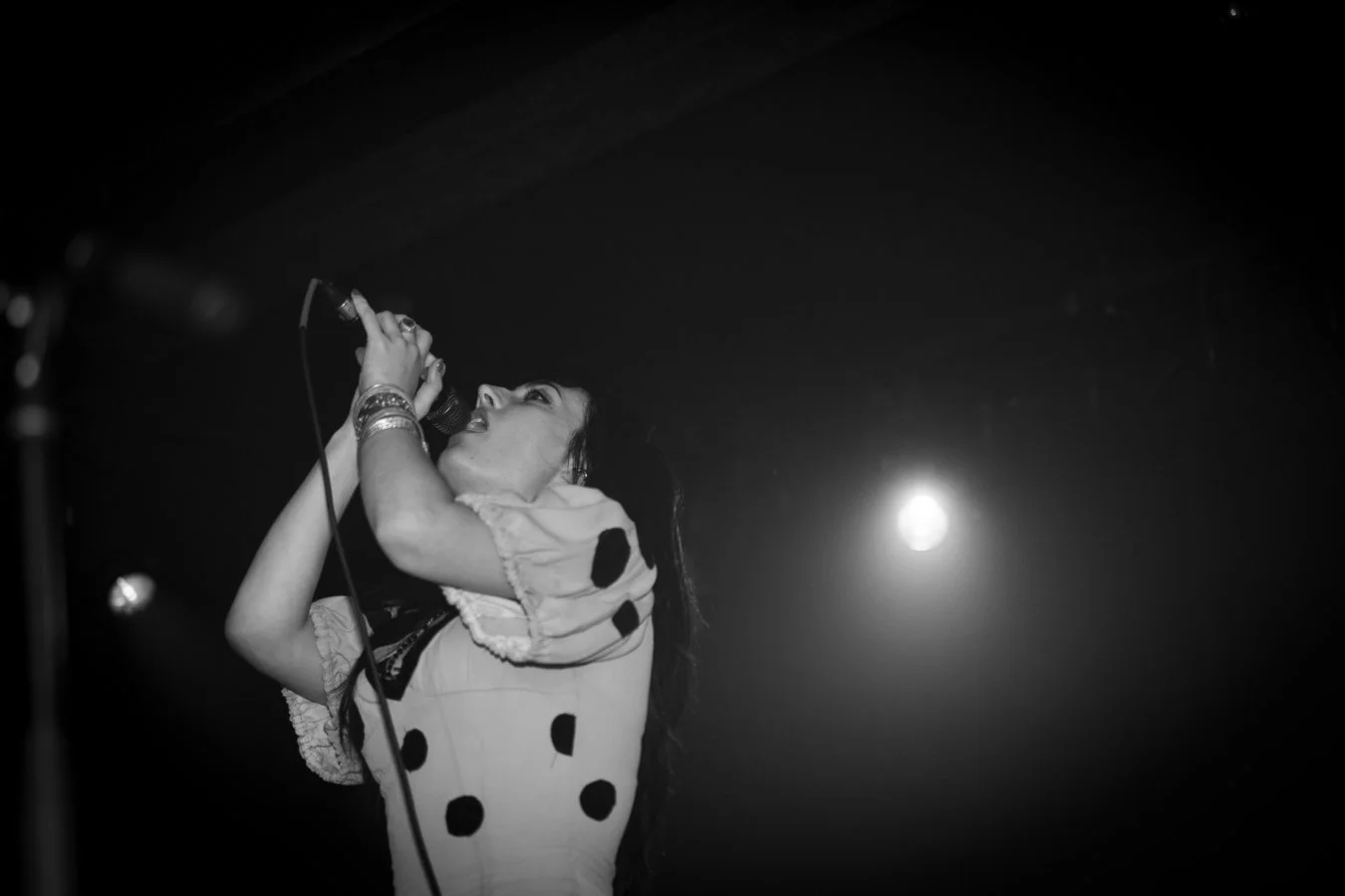 gushy SV BW-46.jpg